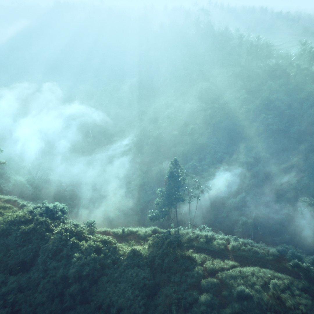 None - Estee Lauder - Radiant Mirage Eau de Parfum Spray  100ml - 5