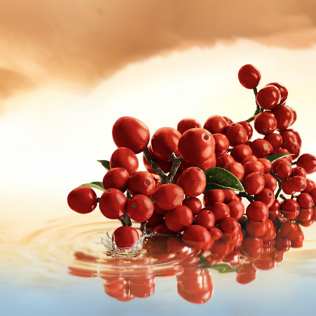 Estee Lauder Edit | Infinite Sky Eau de Parfum Spray 100ml | Eau