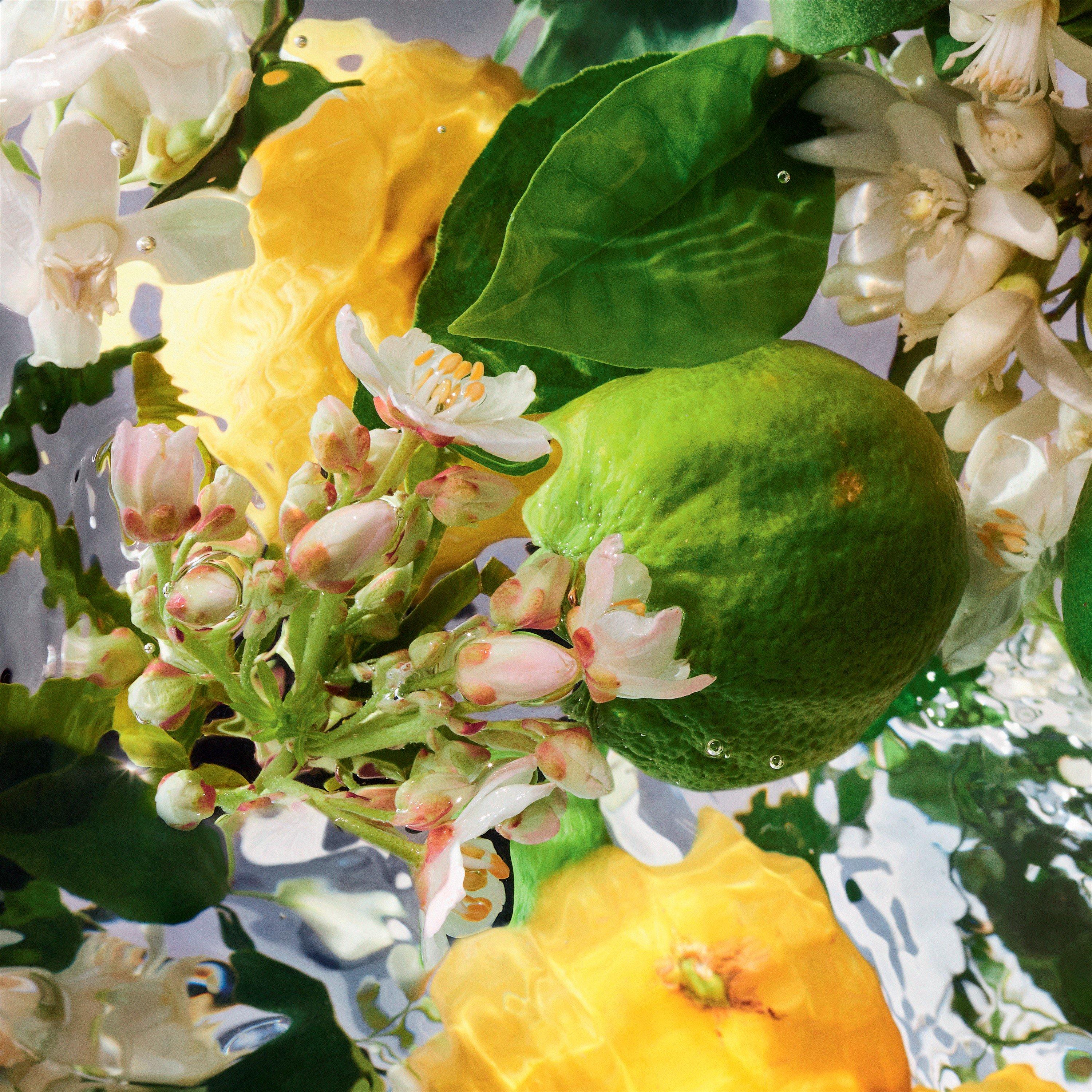 BERG - Guerlain - Aqua Allegoria Bergamote Calabria Eau de Toilette - 3