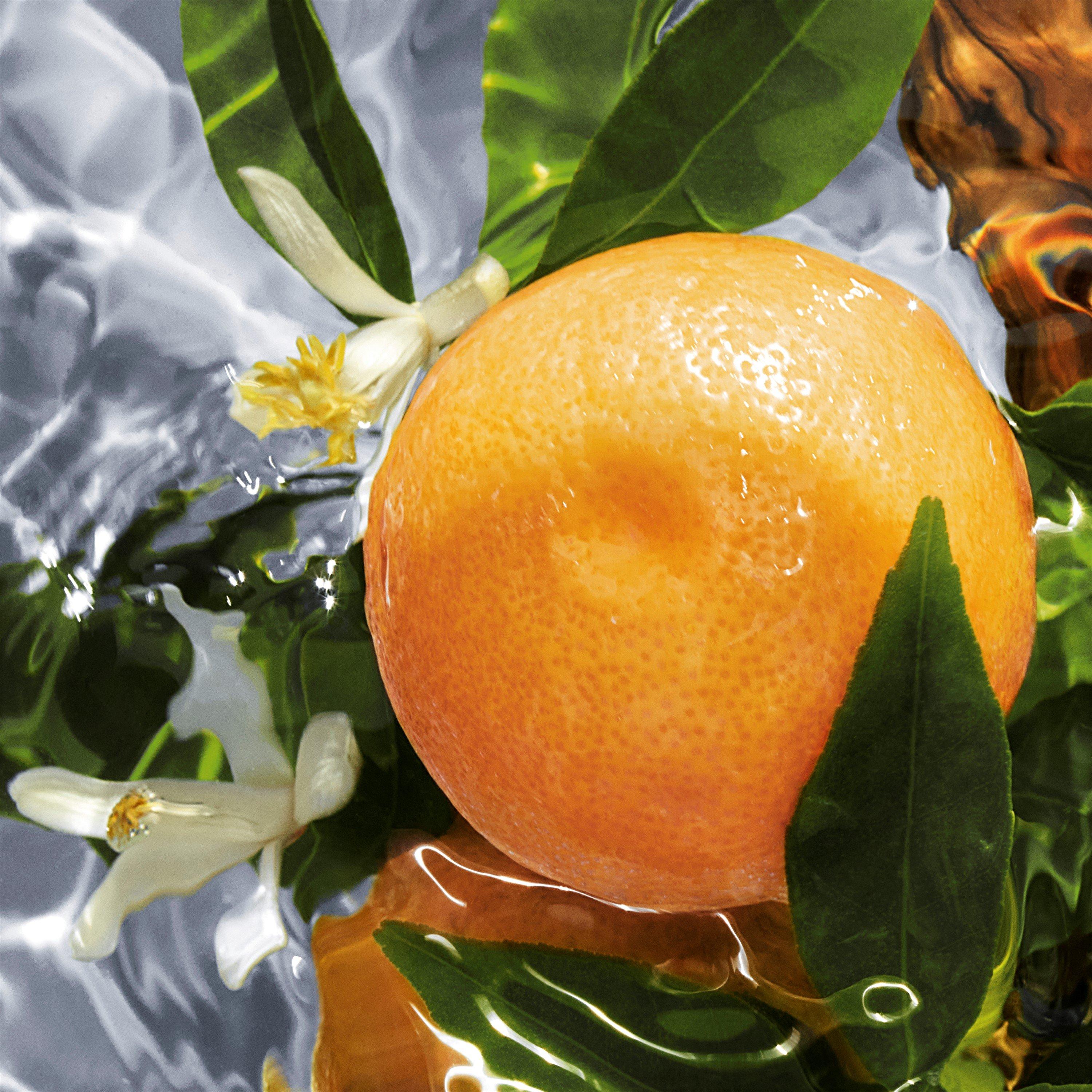 Pampl - Guerlain - Aqua Allegoria Pamplelune Eau de Toilette - 2