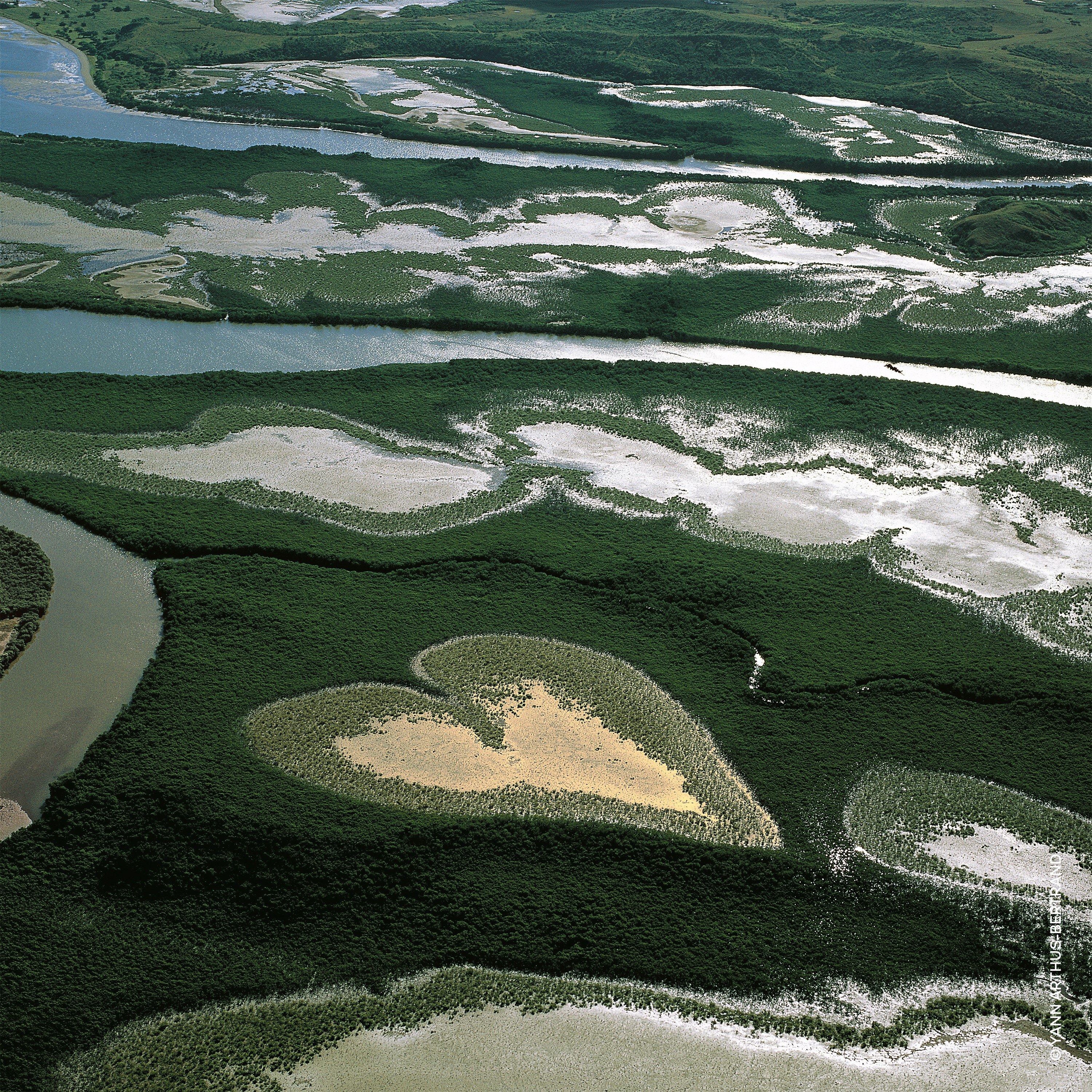 Nerol - Guerlain - Aqua Allegoria Nerolia Vetiver Eau de Toilette - 4