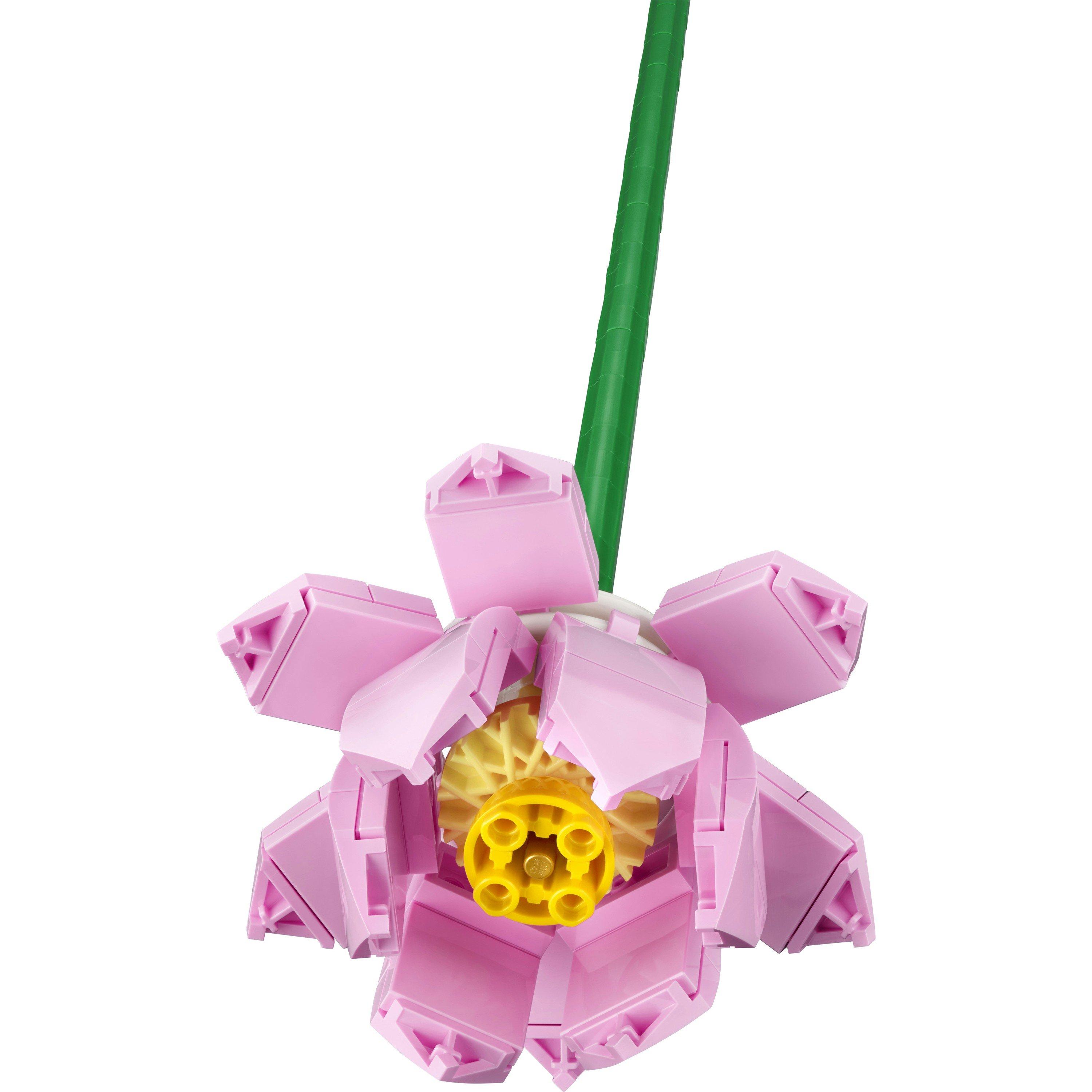 Multi Format An - LEGO - Creator 40647 Lotus Flowers - 10