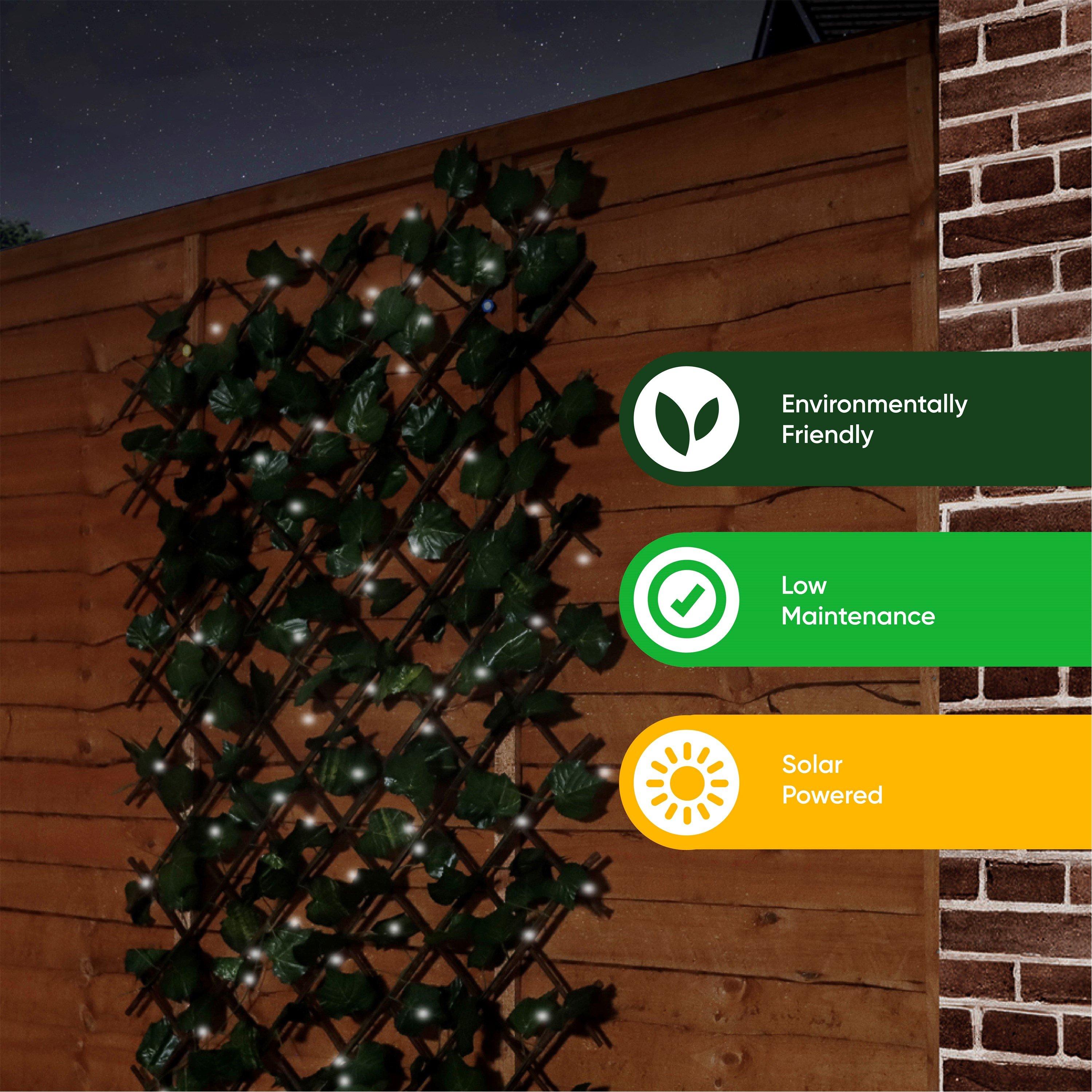 Green - Streetwize - Trellis With Solar Lights - 4