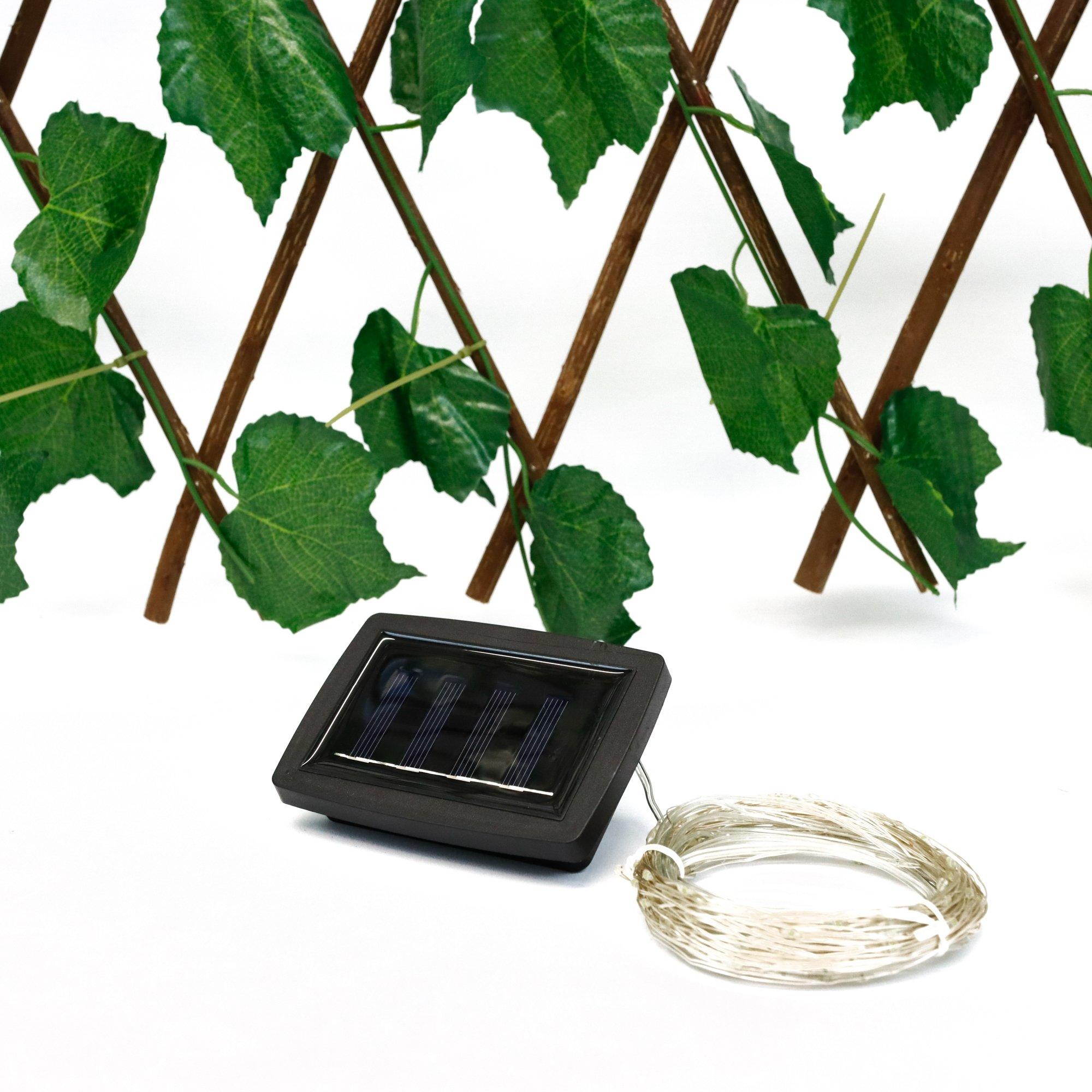 Green - Streetwize - Trellis With Solar Lights - 8