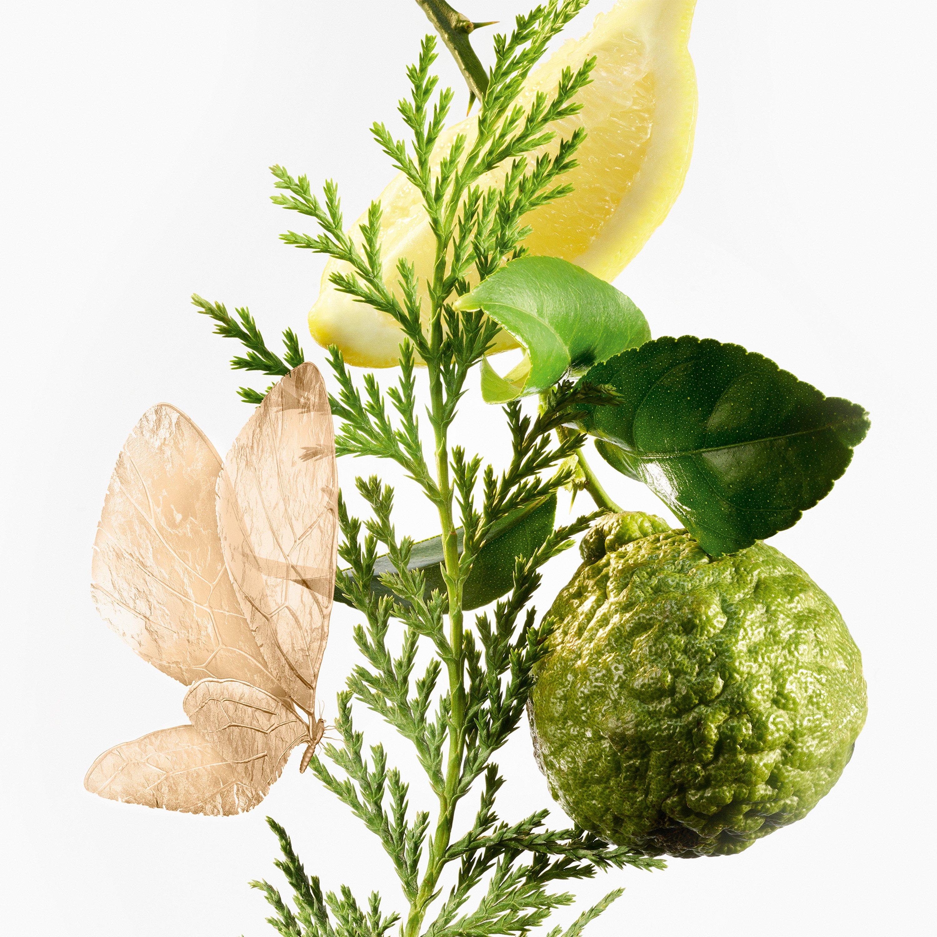 Clear - Goutal - Eau d'Hadrien Eau de Parfum - 3