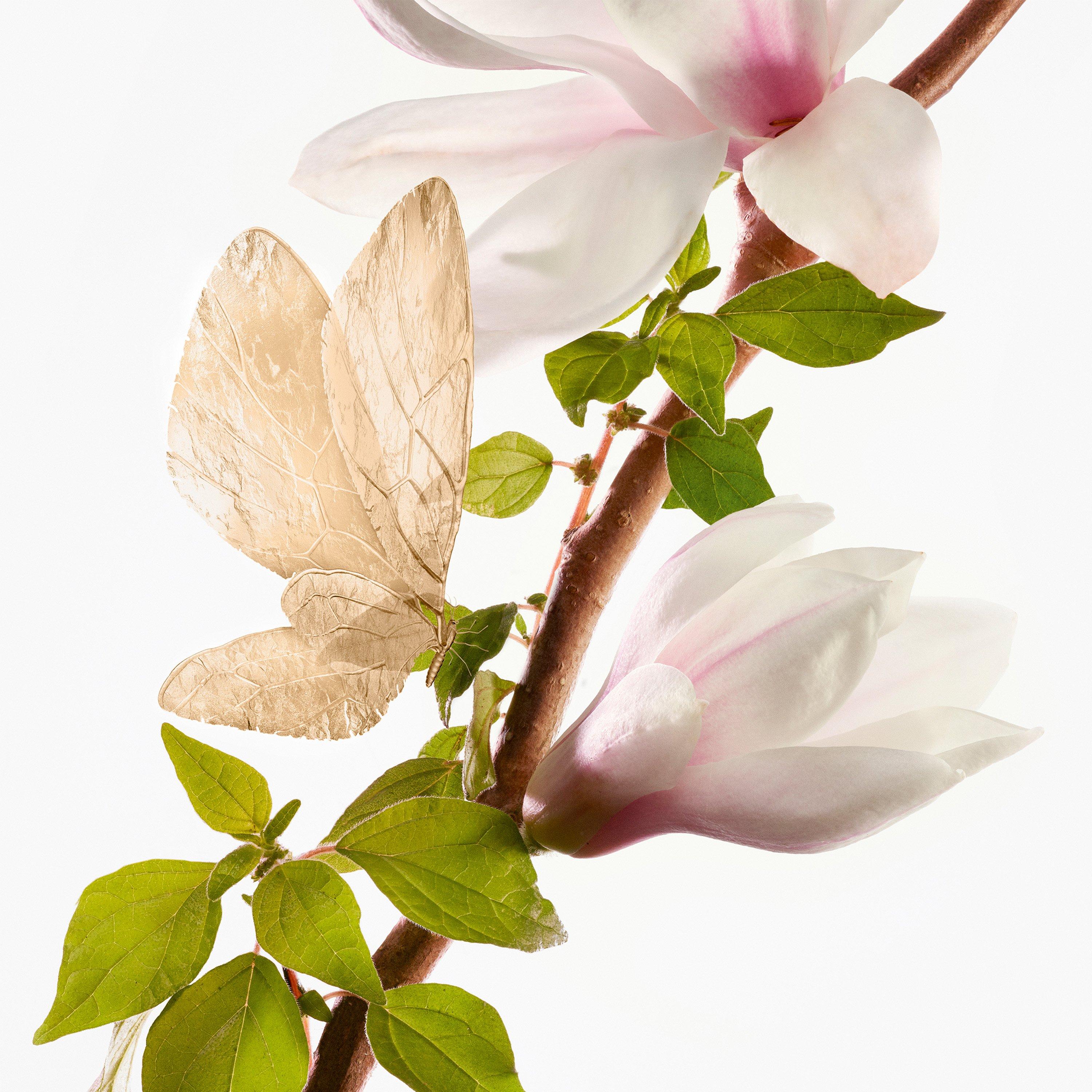 Clear - Goutal - Un Matin D'Orage Eau de Parfum 100ml - 3