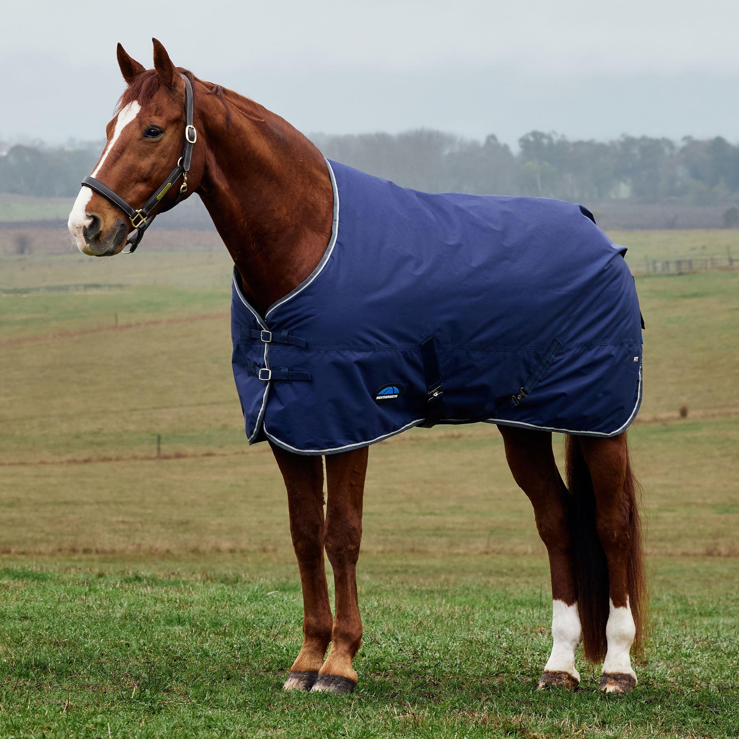 Weatherbeeta  Comfitec Tyro Turnout Standard Neck 50G - Navy/Charcoal - 6ft 9in