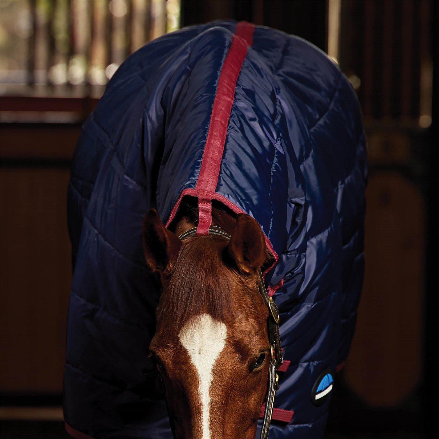 Navy/Burgundy - Weatherbeeta - WB Stable Rug Combo 22 64 - 4