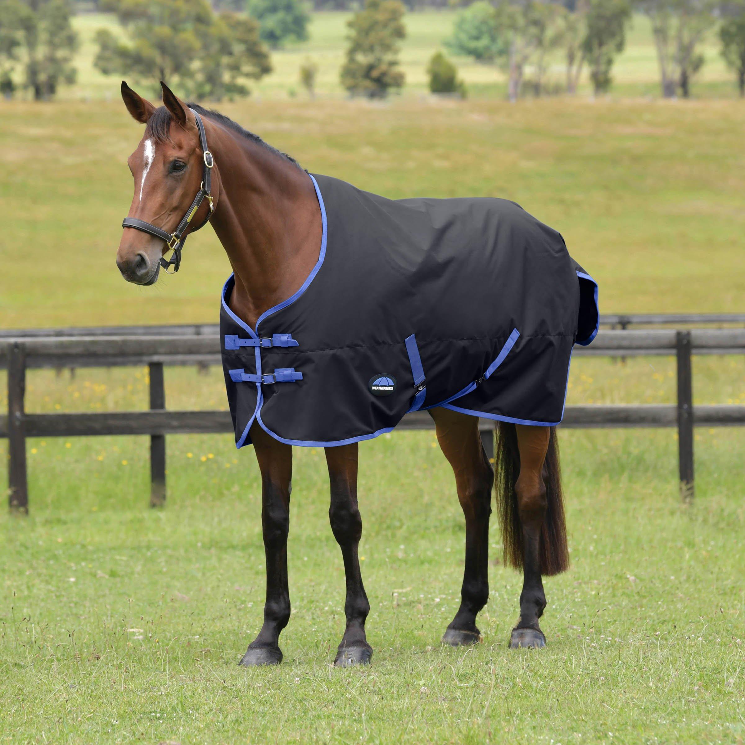 Weatherbeeta  Comfitec Tyro Standard Neck 220G Turn Out Rug - Black/Cobalt - 6ft 9in