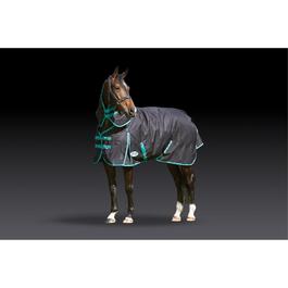 Weatherbeeta Green-Tec Stable Standard Neck Medium/Lite