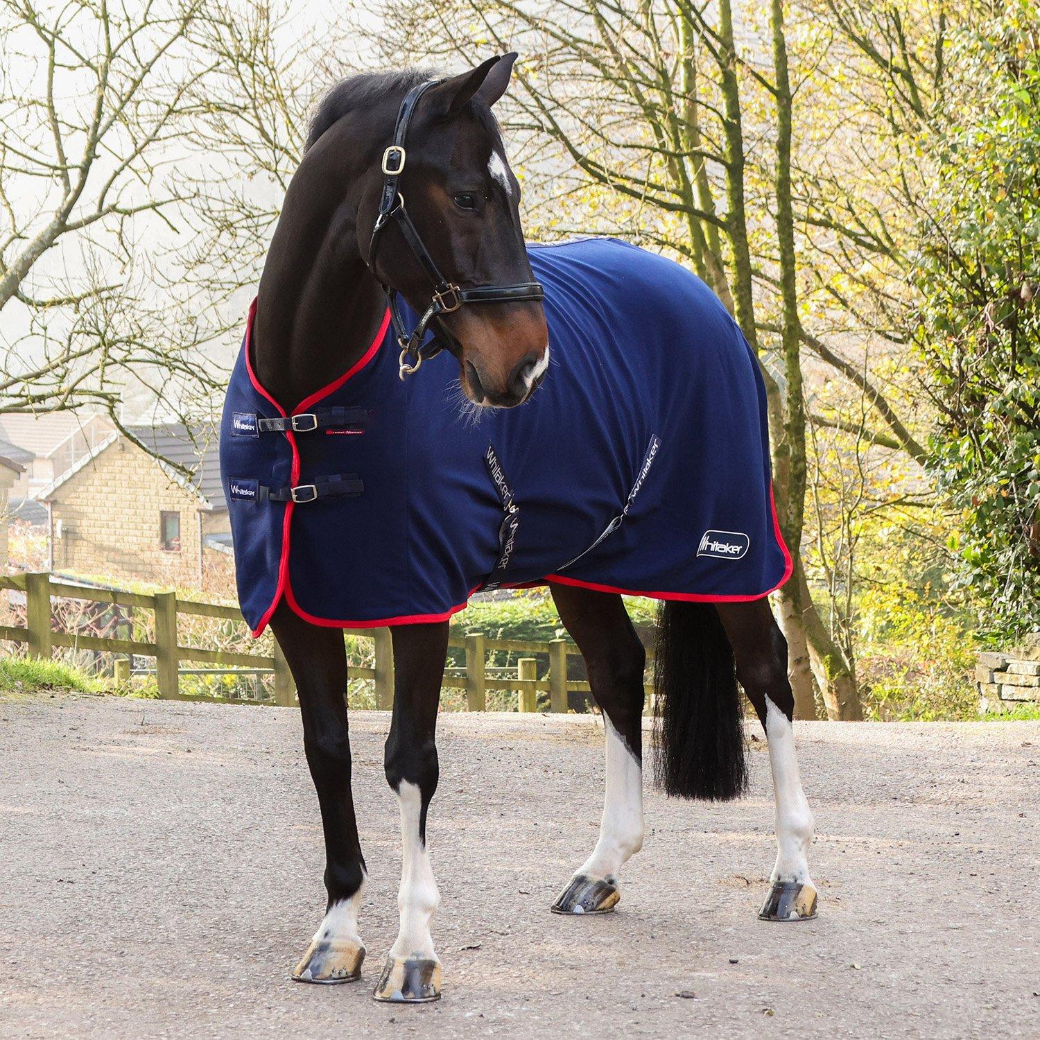 Navy with Red - John Whitaker - Whitaker Rastrick Fleece Horse Rug - 7