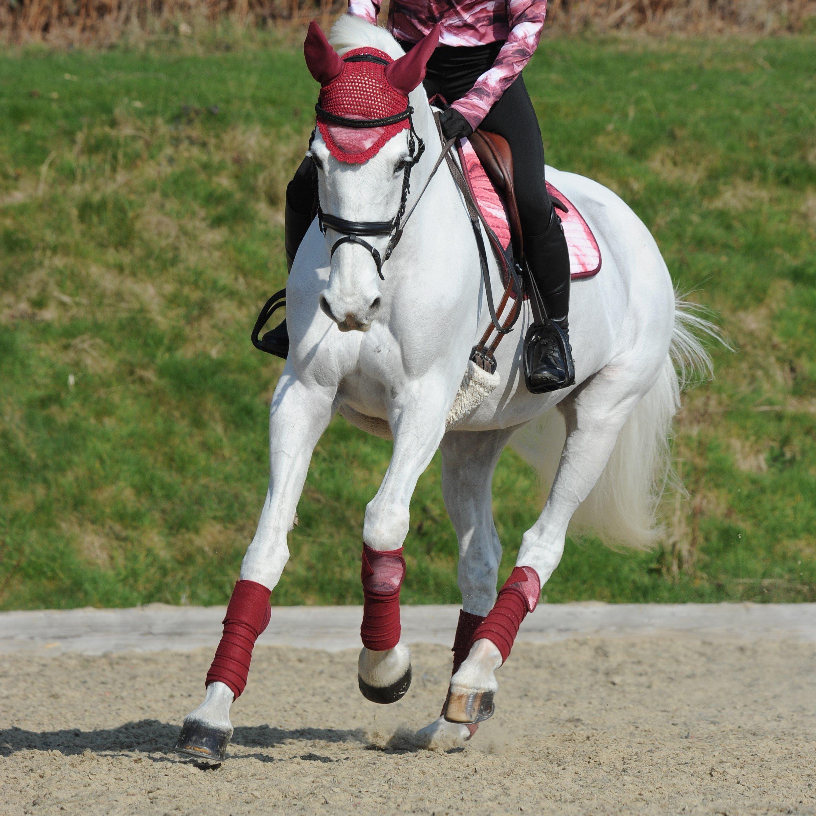 Weatherbeeta  Prime Marble Ear Bonnet - Burgundy - Pony