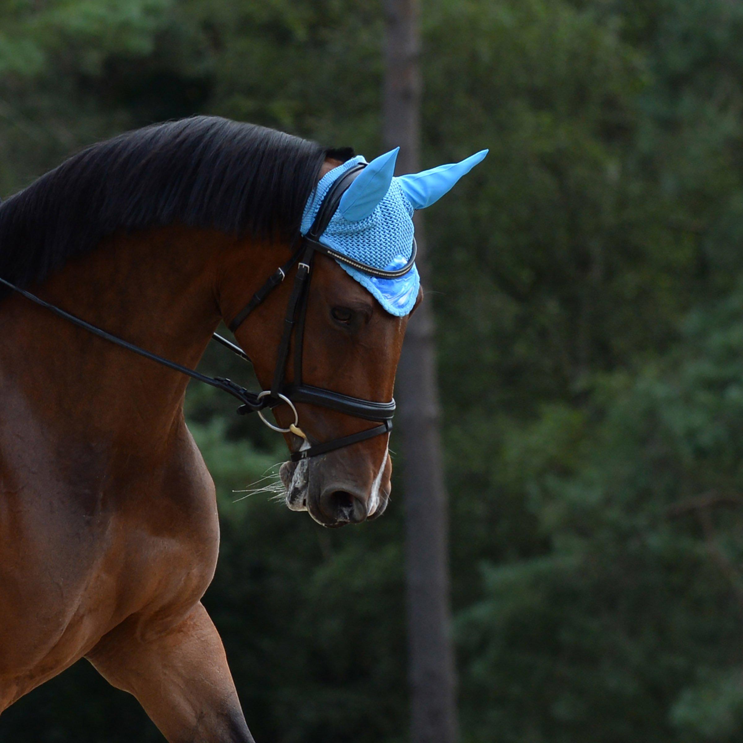 Weatherbeeta  Prime Marble Ear Bonnet - Blue Swirl Marb - Full
