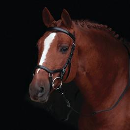 Rambo Rambo Micklem Original Competition Bridle