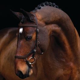 Rambo JWhitaker Ready To Ride Snaffle Bridle