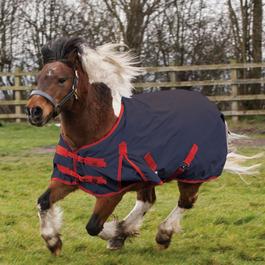 Cosy Pony ComFiTec Plus Dynamic II Standard Neck Medium Turnout Rug