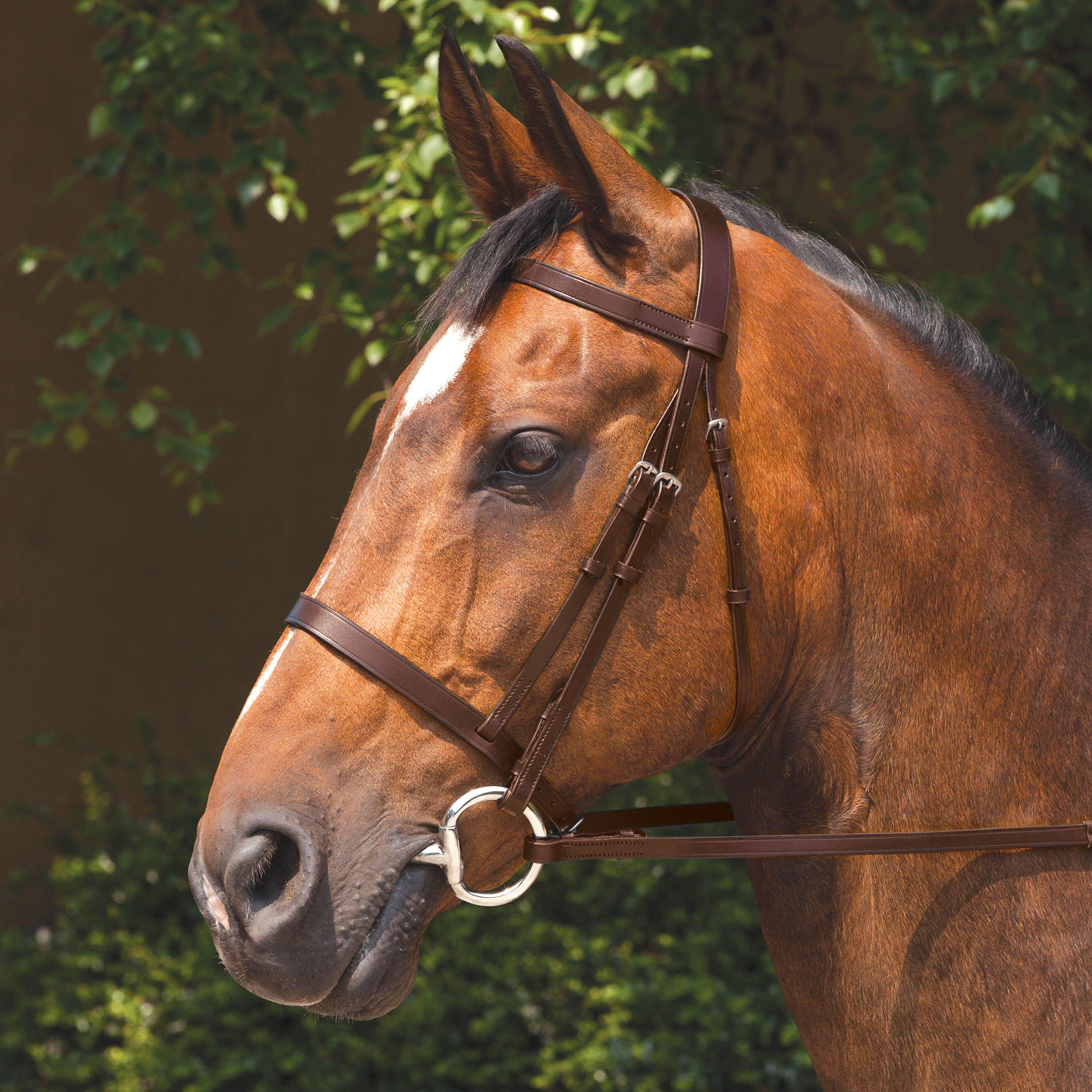 Requisite  Snaffle Bridle With Reins - Havana - Full