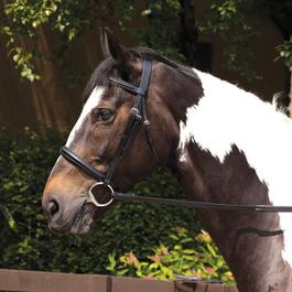 Requisite Requisite Raised Bridle and Reins