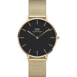 Daniel Wellington 36 Evergold Gold Plated Stainless Steel Watch