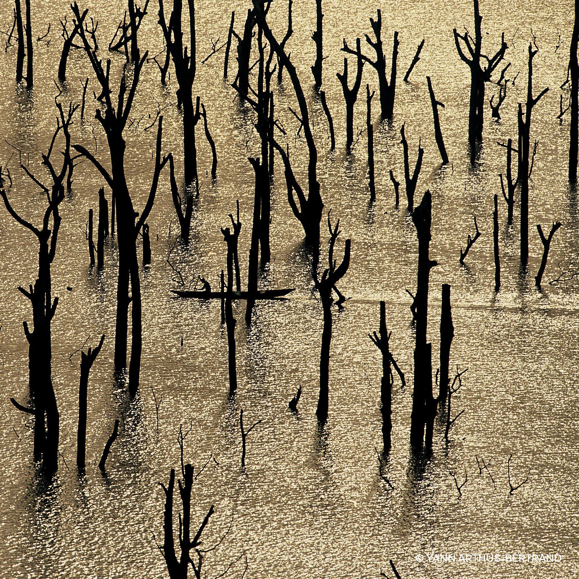 Clear - Guerlain - Aqua Allegoria Forte Nerolia Vetiver Eau de Parfum - 8