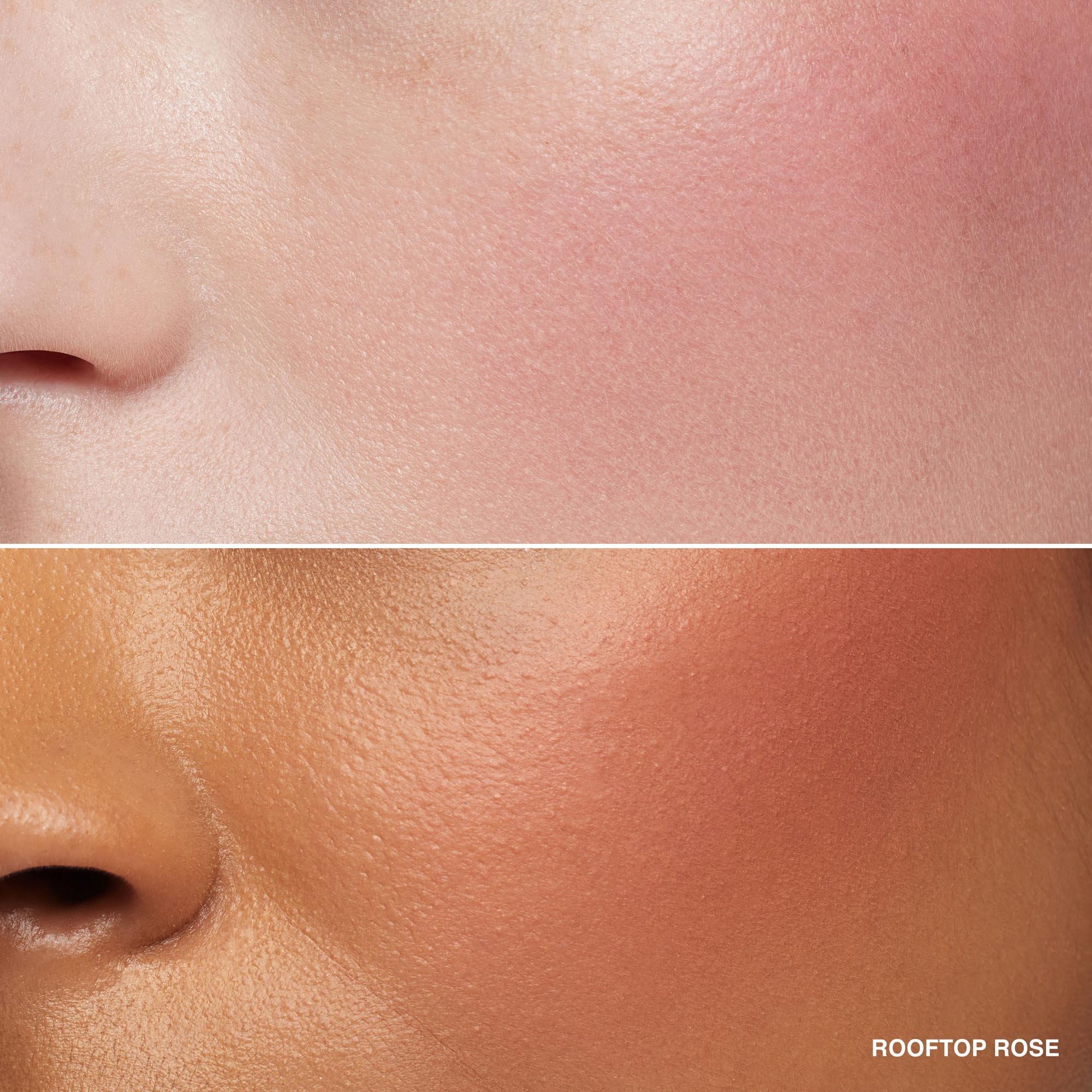Rooftop Rose - Bobbi Brown - Bobbi Blush Shimmer - 3