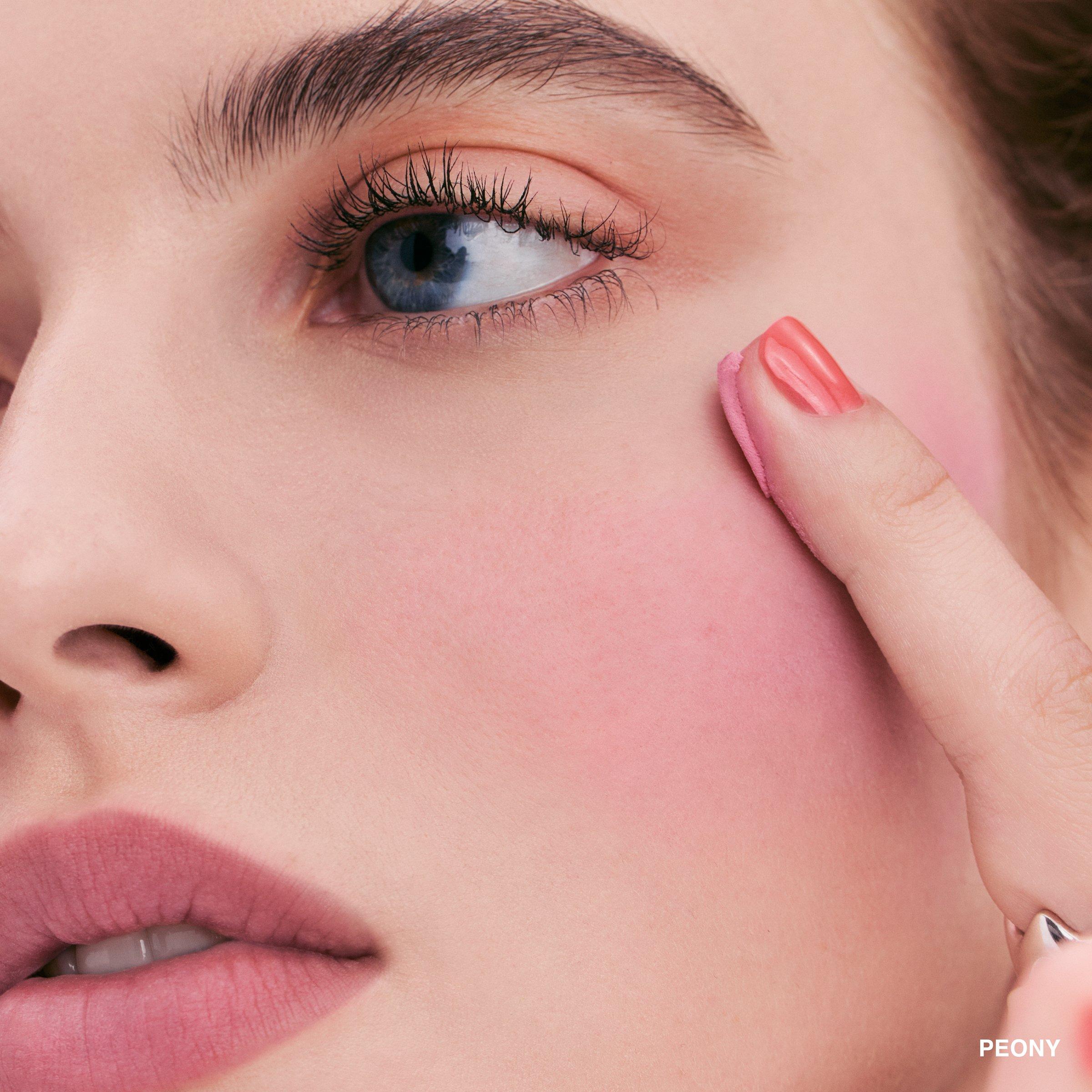 Tea Rose - Bobbi Brown - Pot Rouge Matte - 7