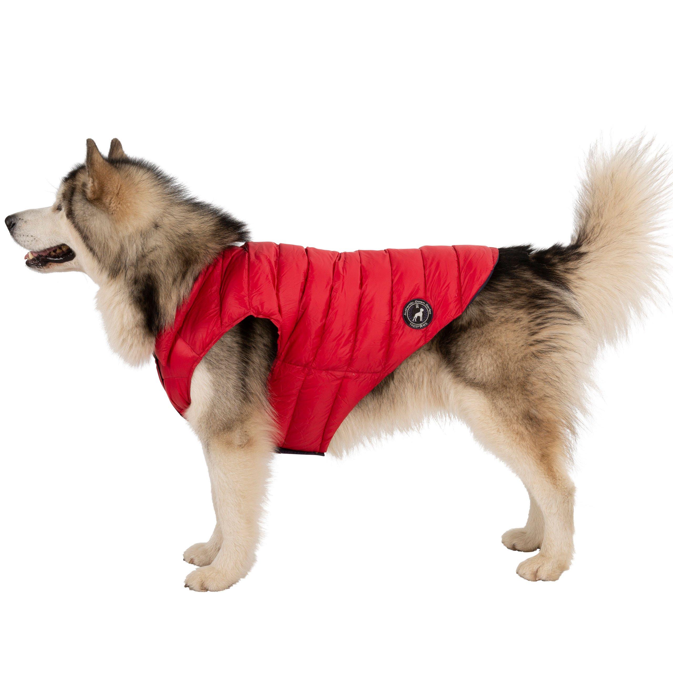 Postbox Red X - Trespaws - Dogby Dog Coat - 3