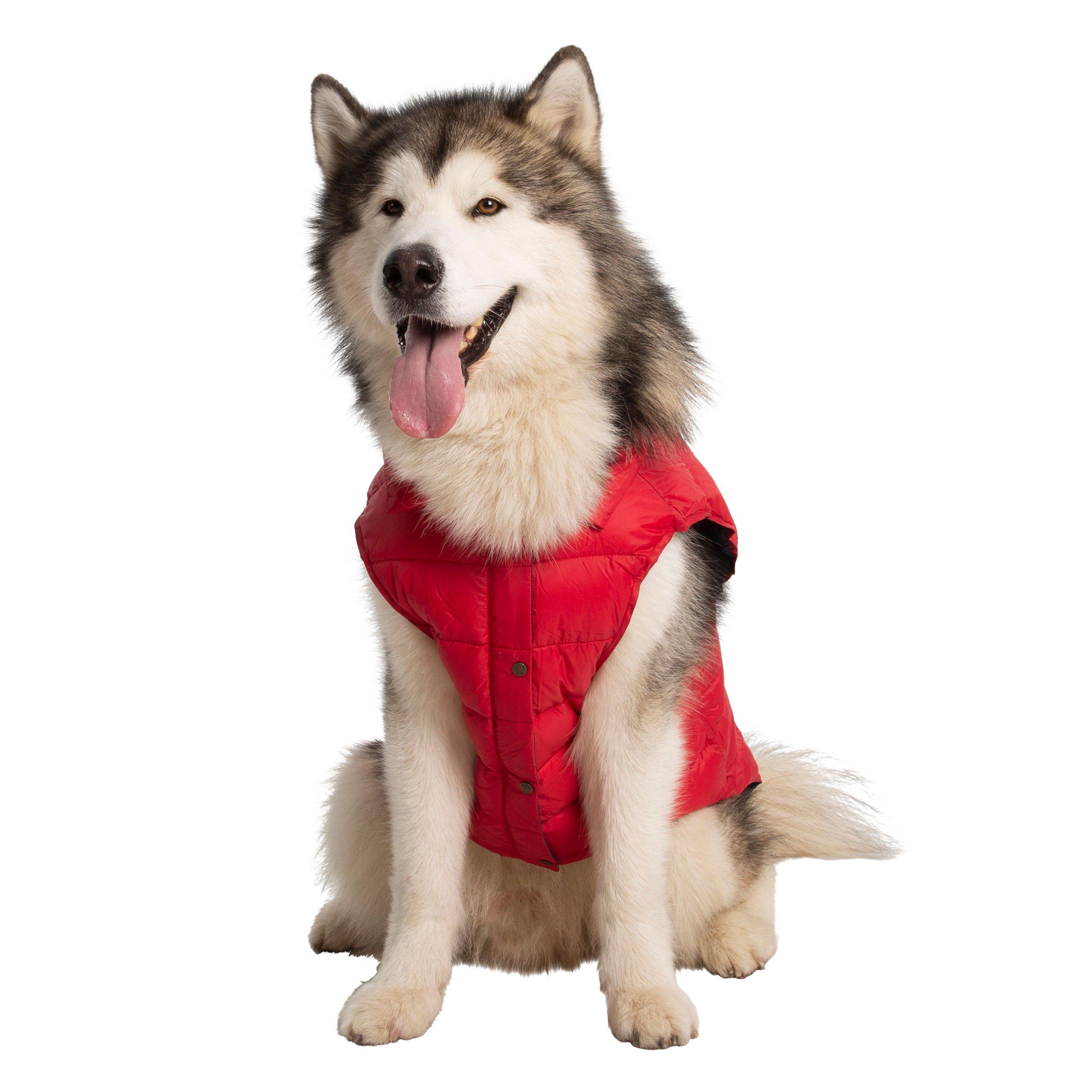 Postbox Red X - Trespaws - Dogby Dog Coat - 4