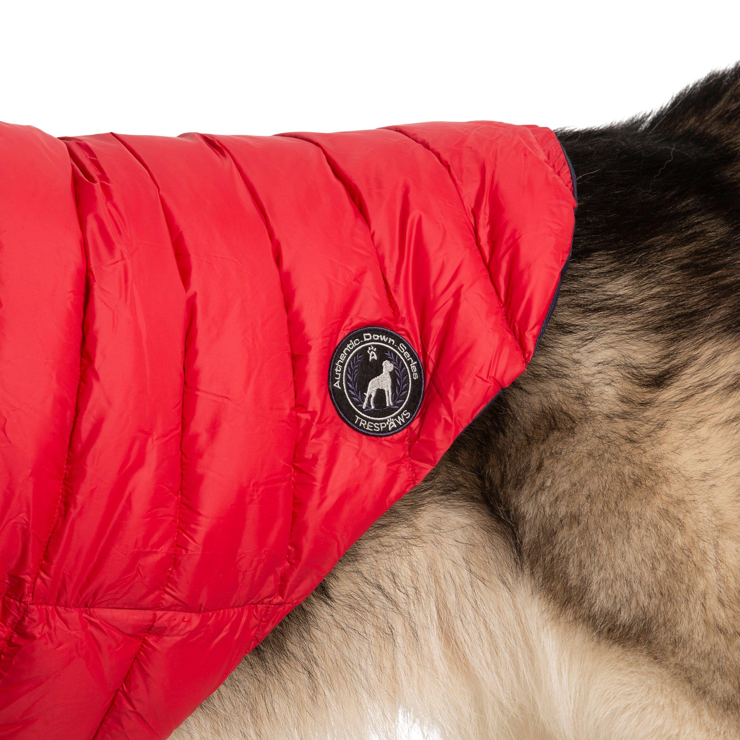 Postbox Red X - Trespaws - Dogby Dog Coat - 5