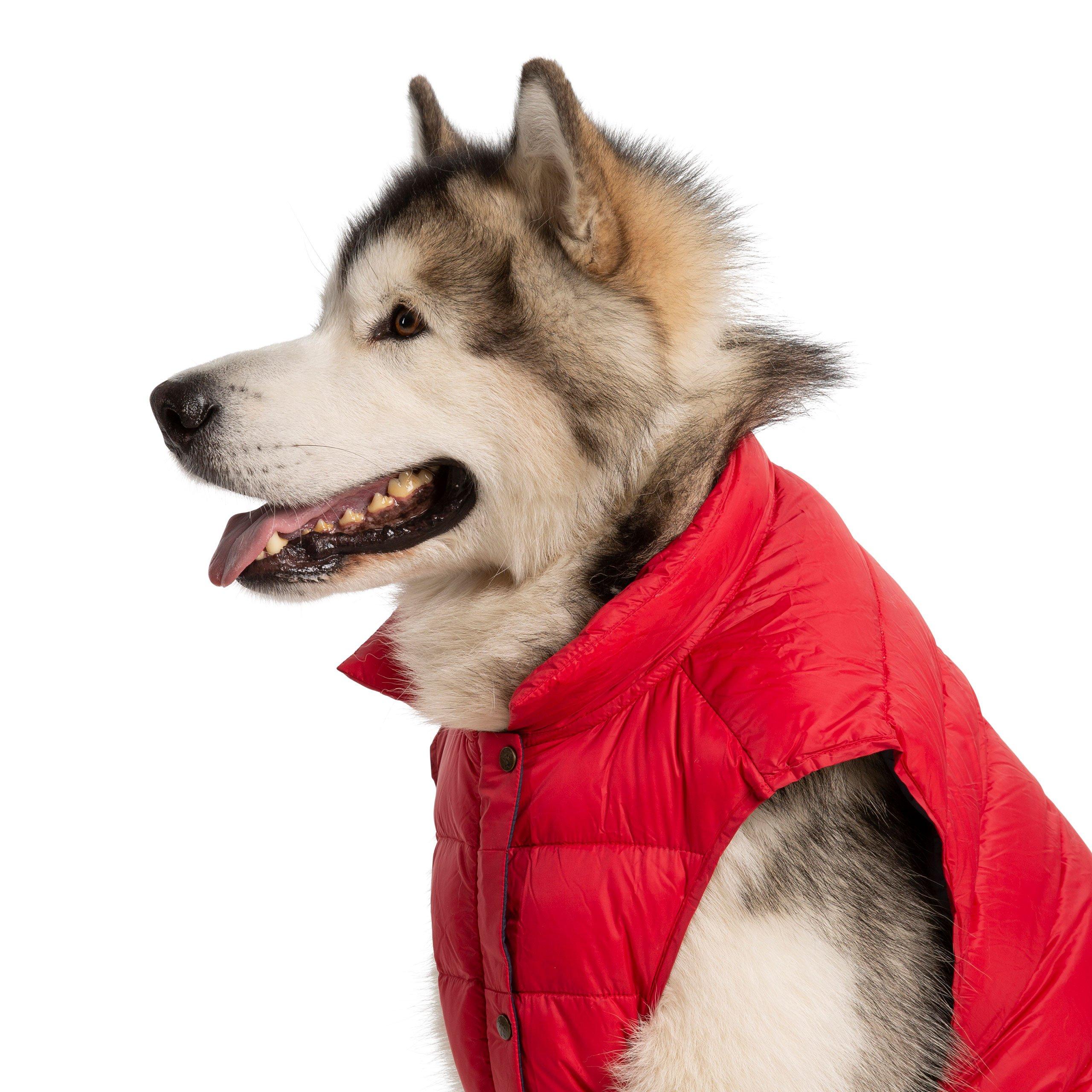 Postbox Red X - Trespaws - Dogby Dog Coat - 7