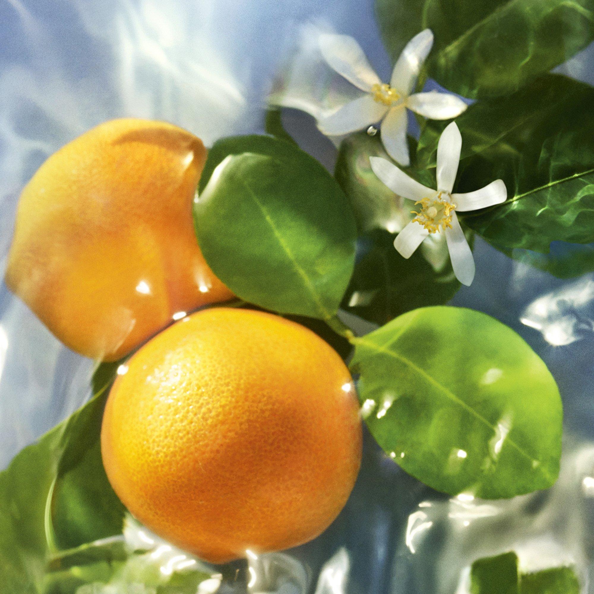 Mist - Guerlain - Aqua Allegoria Mandarine Basilic Eau de Toilette - 2