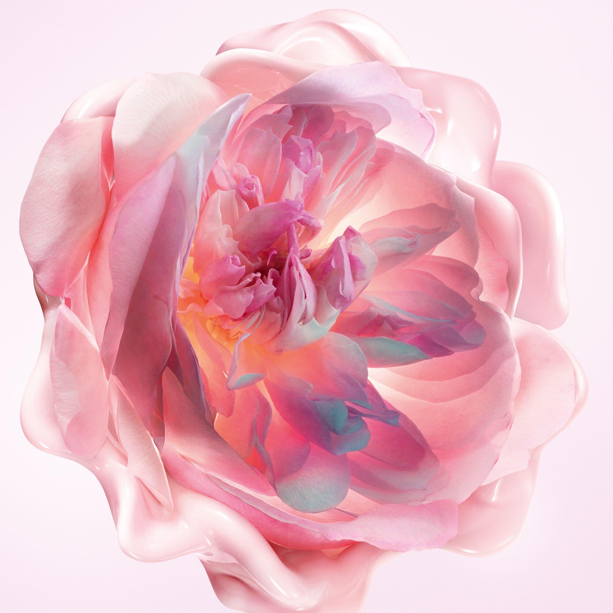 Clear - DIOR - Miss Dior Hydrating Hand Cream - 2