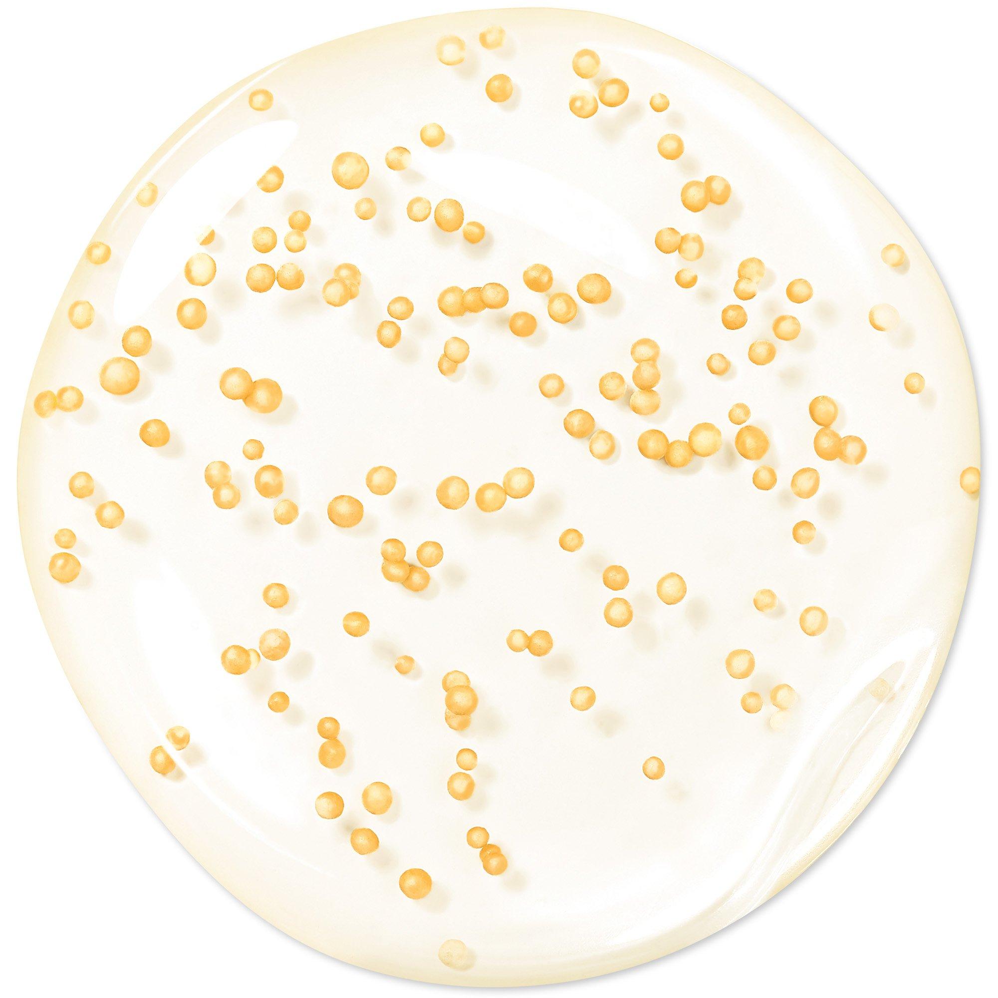 0ML - Guerlain - Abeille Royale Youth Watery Oil Serum - 2