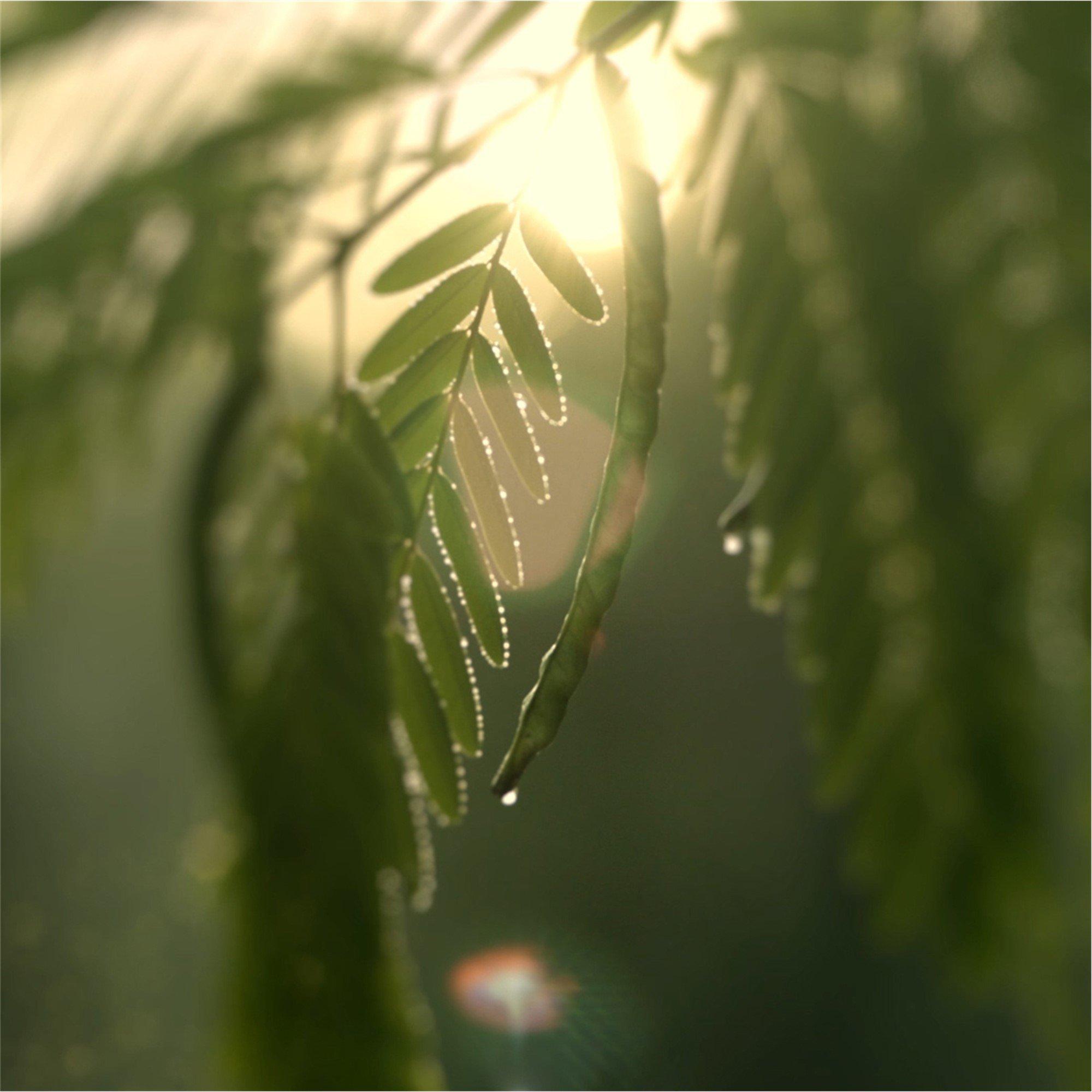 Cream 30ml - Estee Lauder - Revitalizing Supreme Global Anti-Aging CC Creme SPF10 30ml - 3