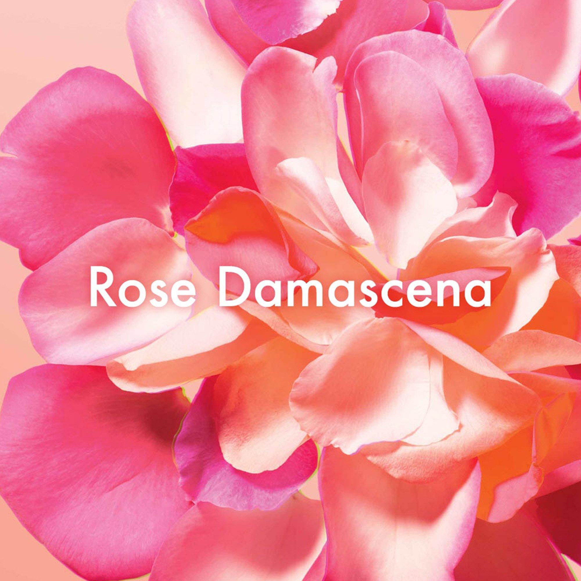 Liquid - Origins - Well Off Makeup Remover 150ml - 4