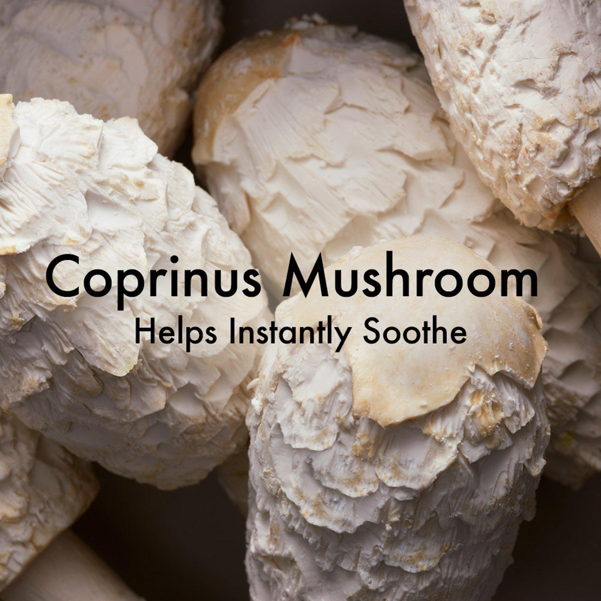 Serum - Origins - Mega-Mushroom Advanced Face Serum - 3