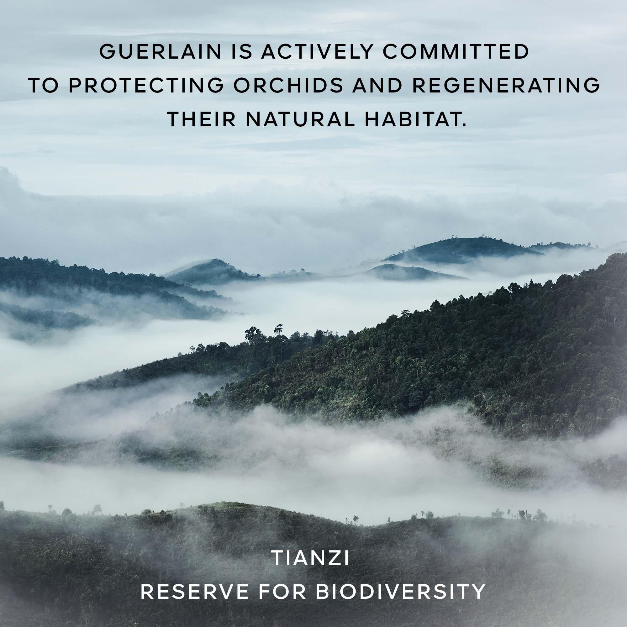 Clear - Guerlain - ORCHIDEE IMPERIALE THE FOAM IN CREAM - 8