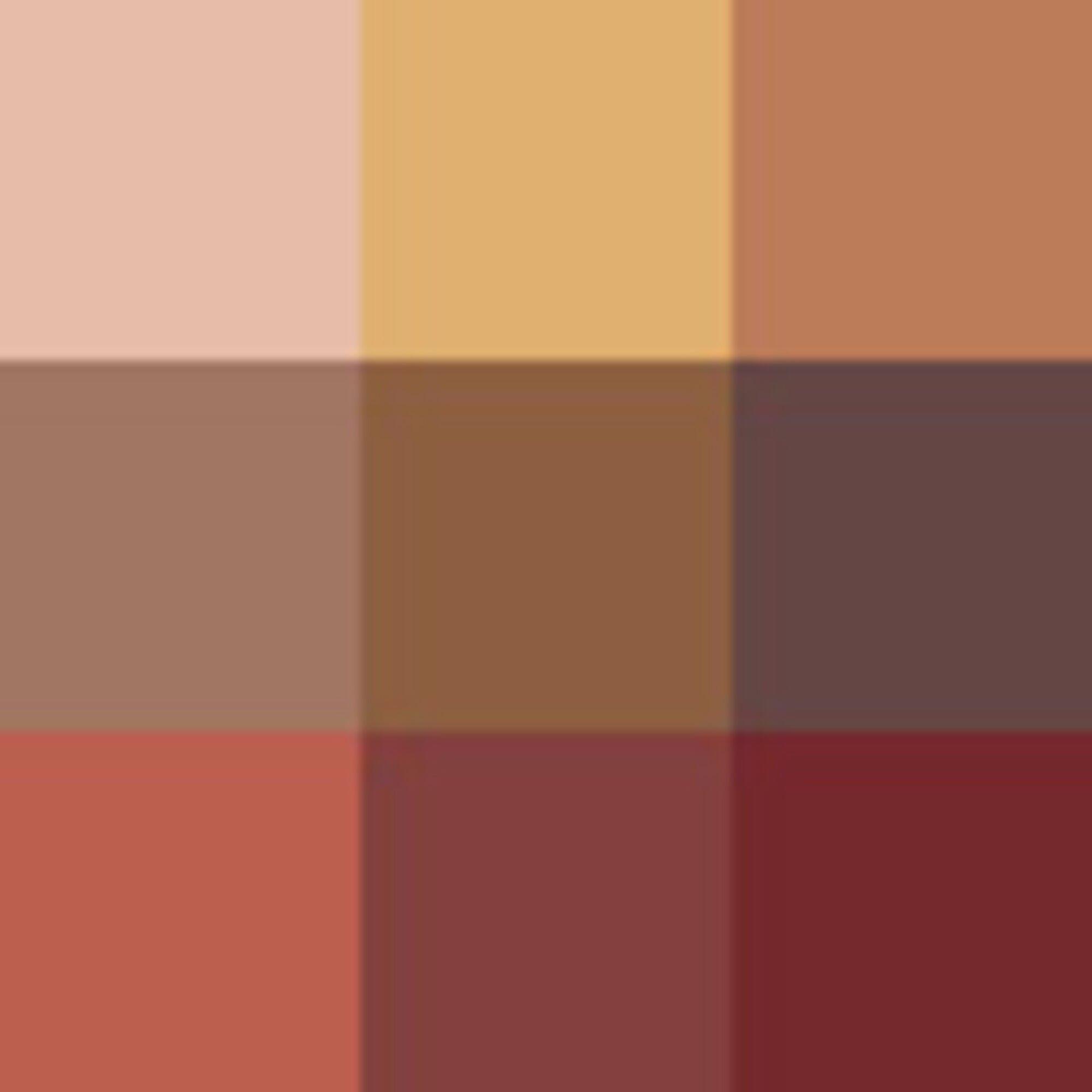 010 COPPER - DIOR - Eye Palette - Limited Edition - 5