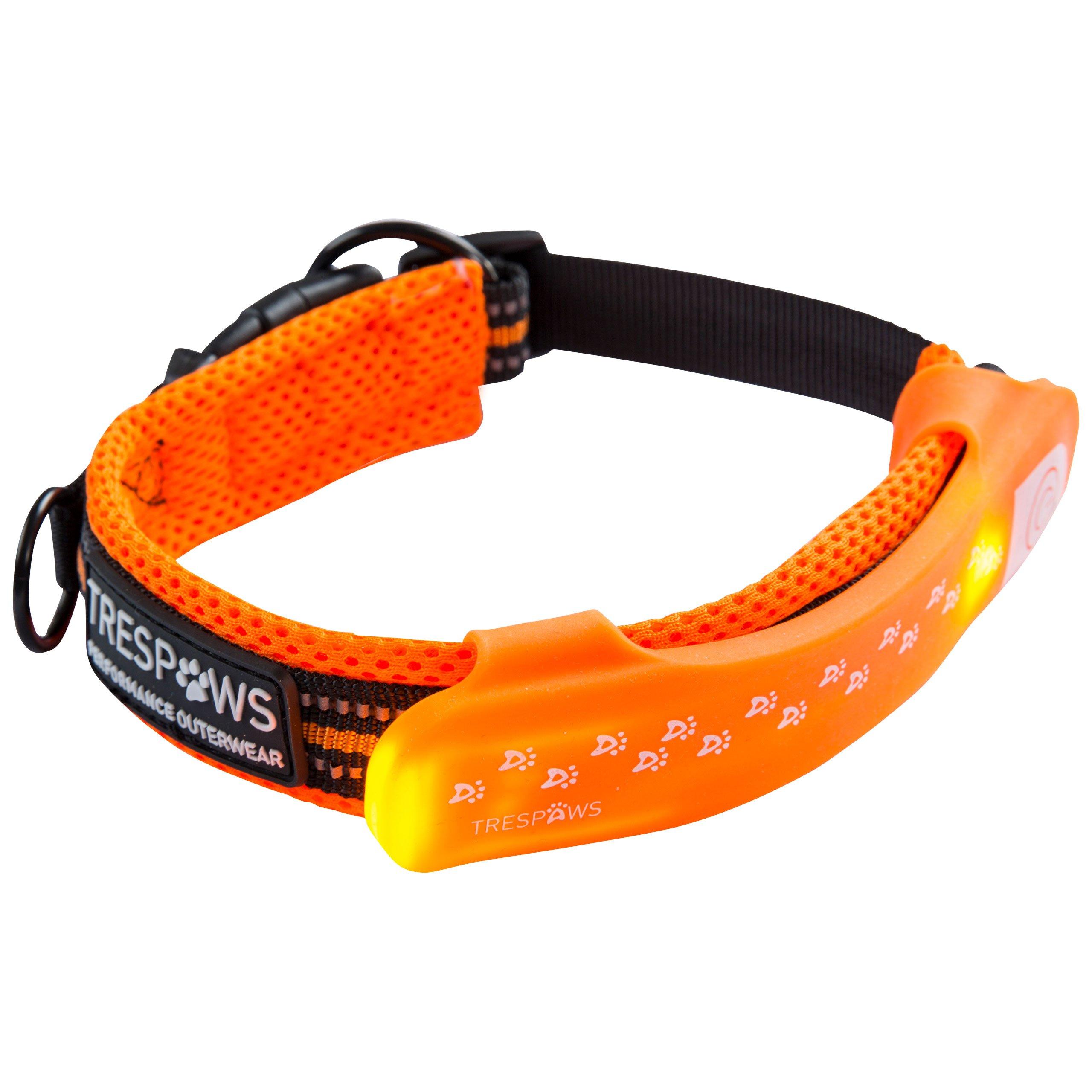 Amanecer - Trespaws - Dog Collar 99 - 2