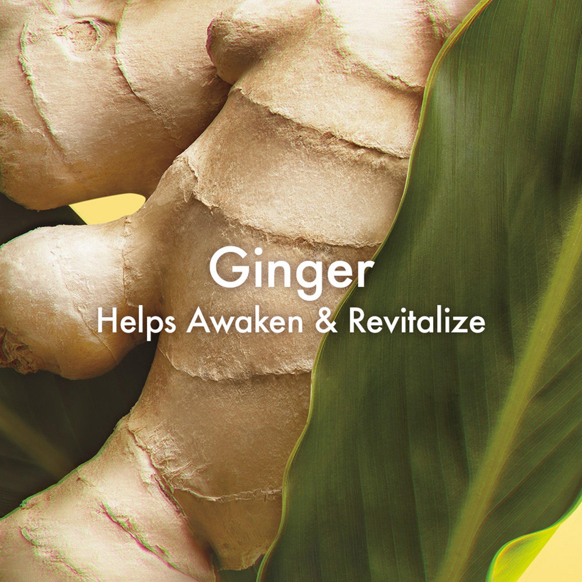 Fragrance - Origins - Ginger Essence Sensuous Skin Scent - 2