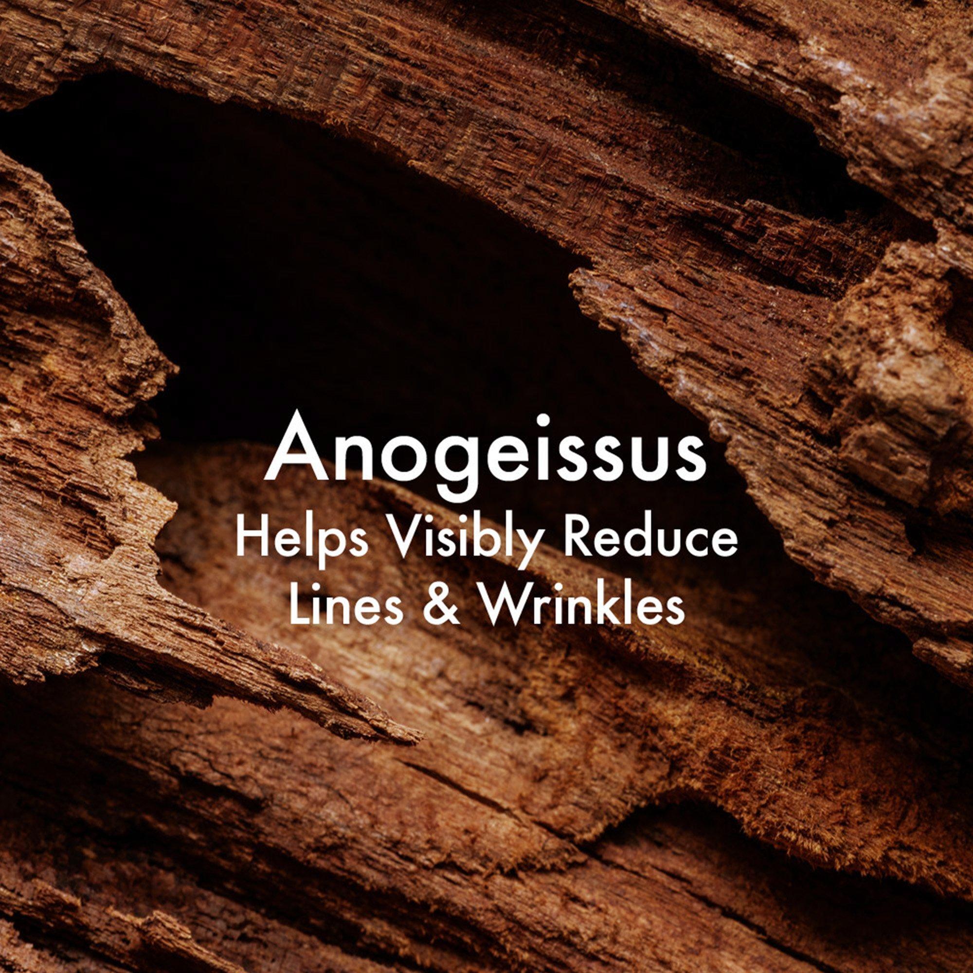 Cream - Origins - Plantscription Power Anti-Aging Eye Cream - 4