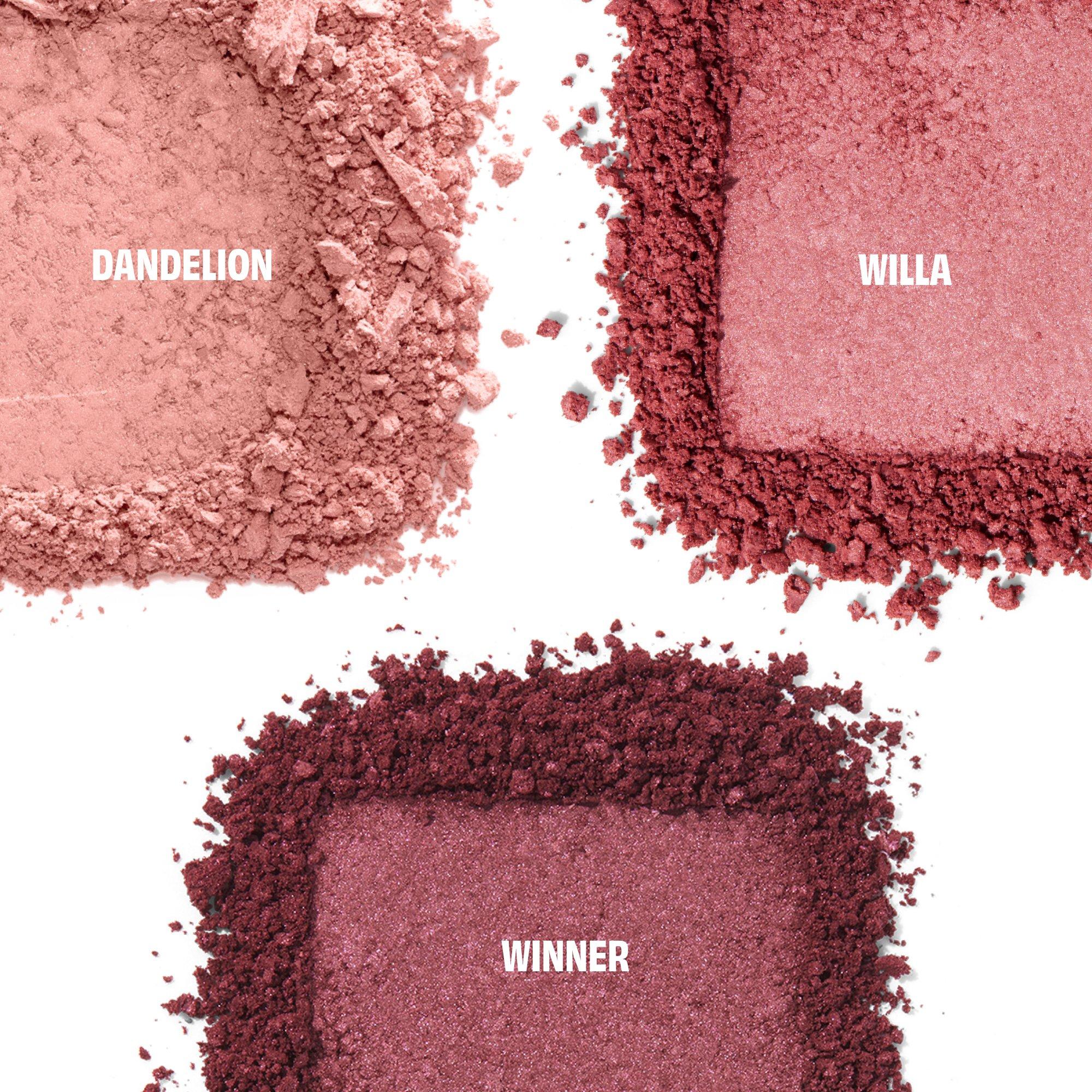 Multi - Benefit - Benefit Cheek Score Blush Limited Edition Palette Worth £49.50 - 3