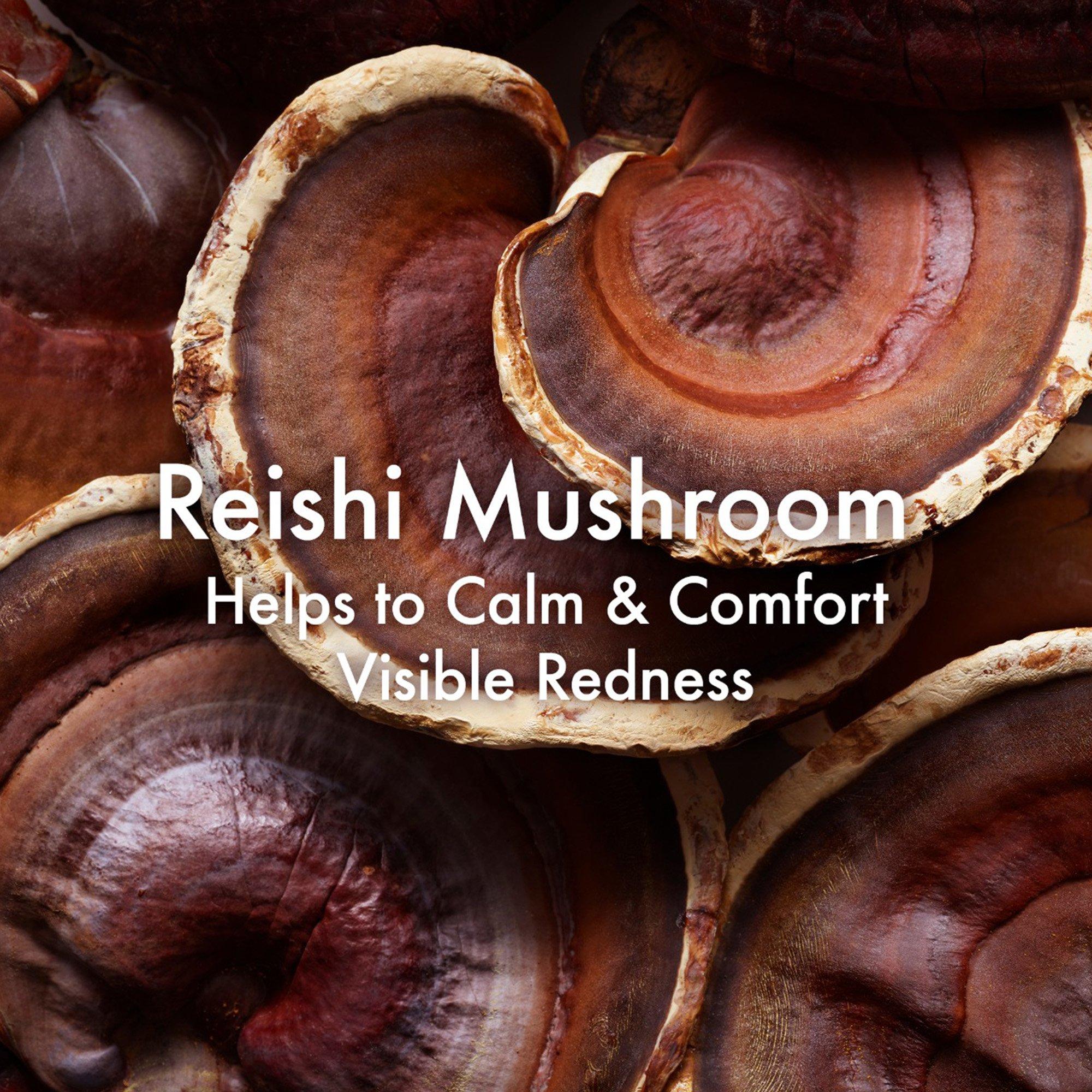 Cleanser - Origins - Mega-Mushroom Skin Relief Face Cleanser - 3