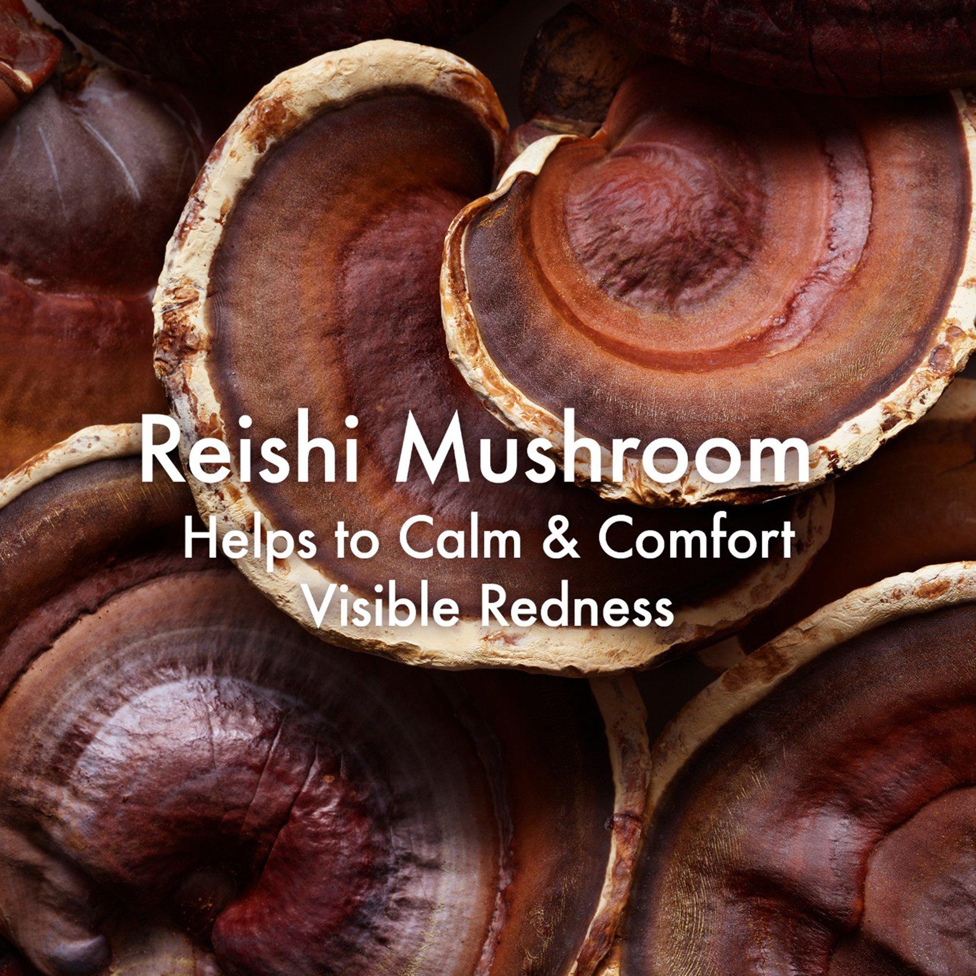 Cleanser - Origins - Dr Weil Micellar Cleanser - 4