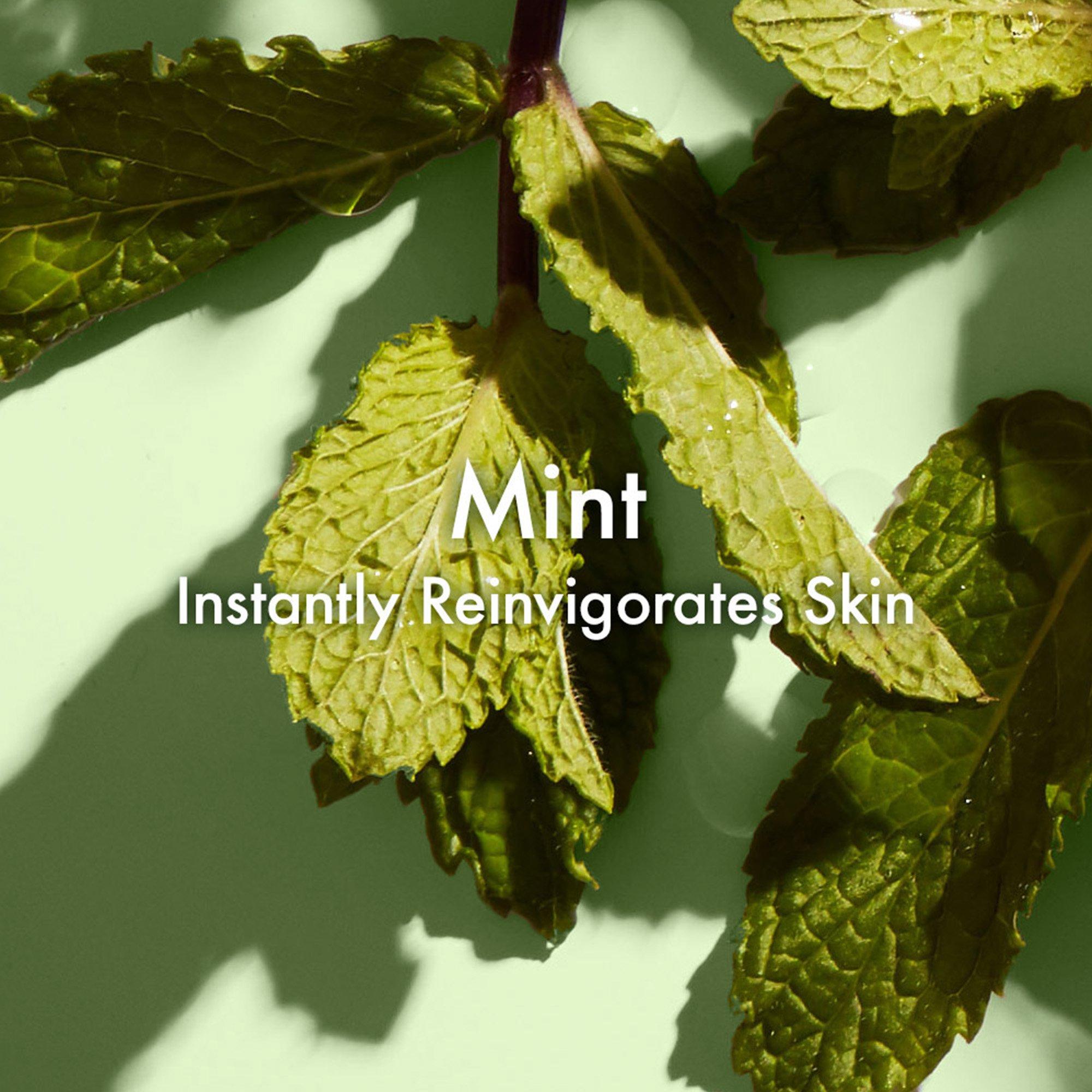 Body Wash - Origins - Checks & Balances Frothy Face Wash - 3