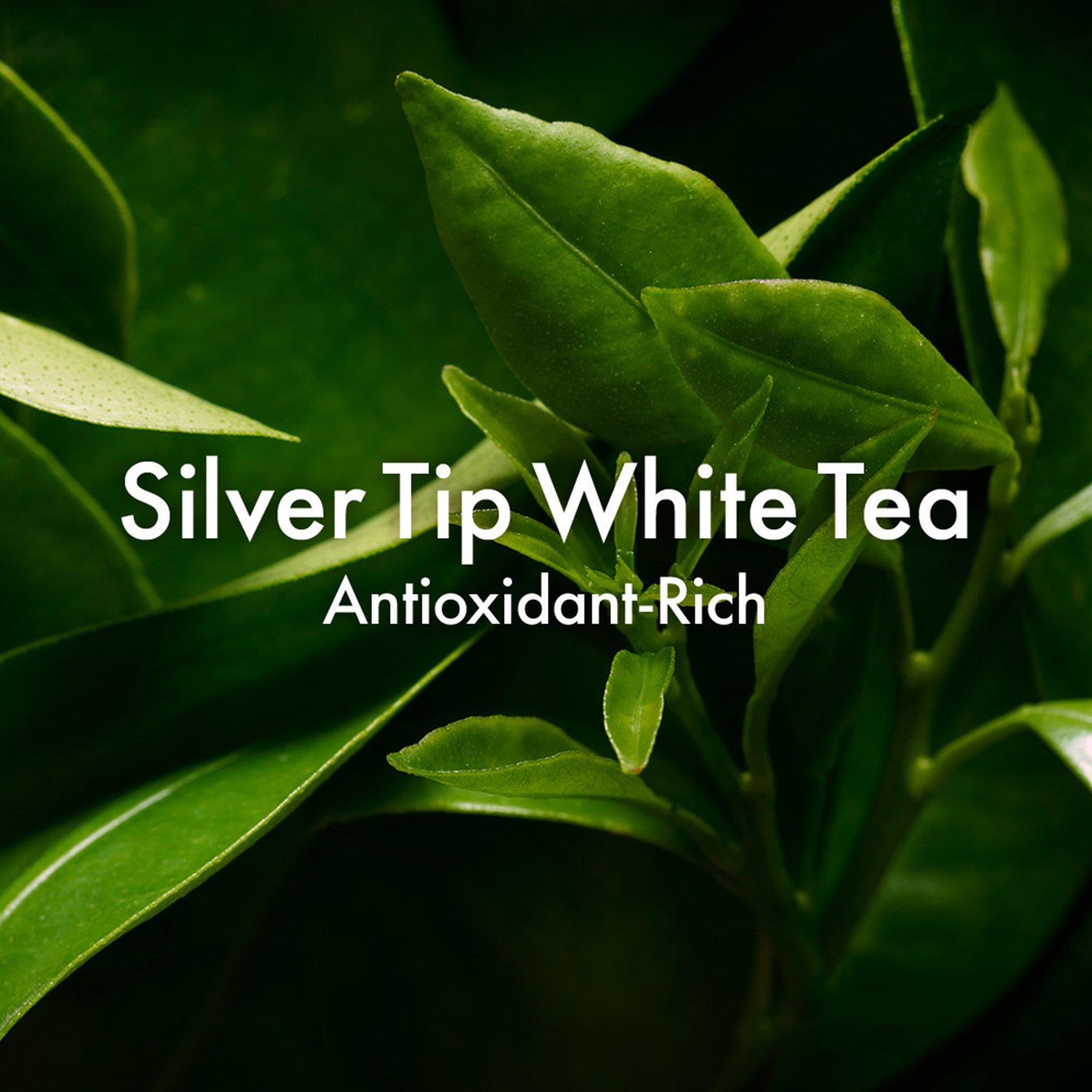 Serum - Origins - A Perfect World Antioxidant Moisturiser - 4