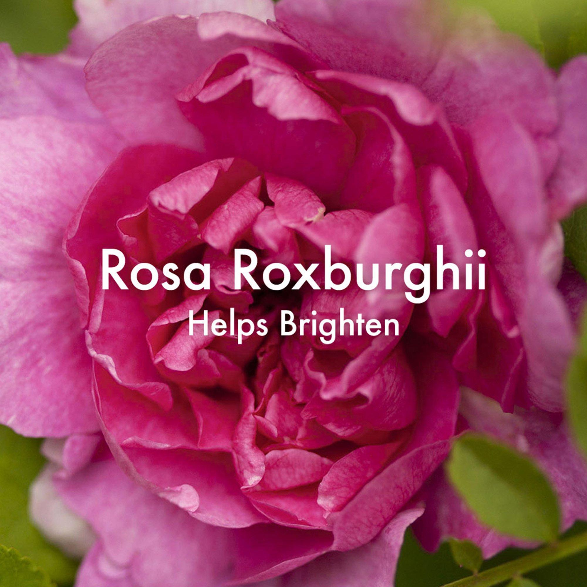 SPF 30 - Origins - Dr Weil Mega Bright SPF 30 Oil-Free Moisturiser - 4