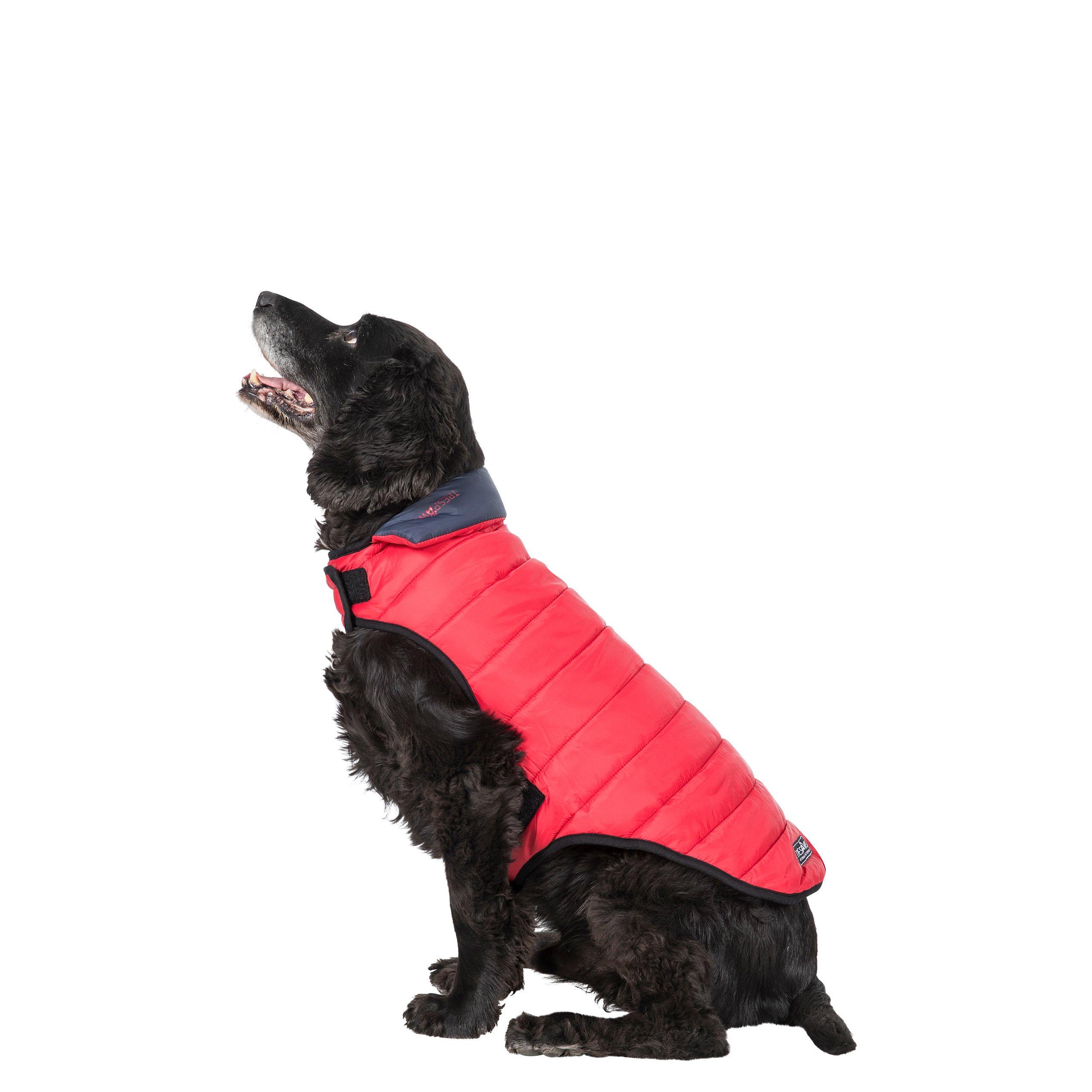 Flint - Trespaws - Dog Jacket 99 - 3