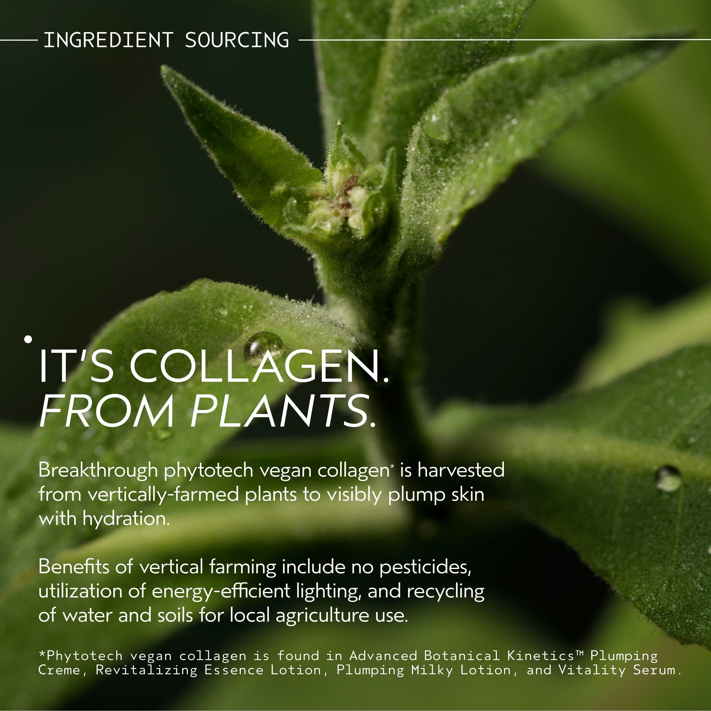 None - Aveda - Aveda ABK PlmCrmRfl Ld00 - 7