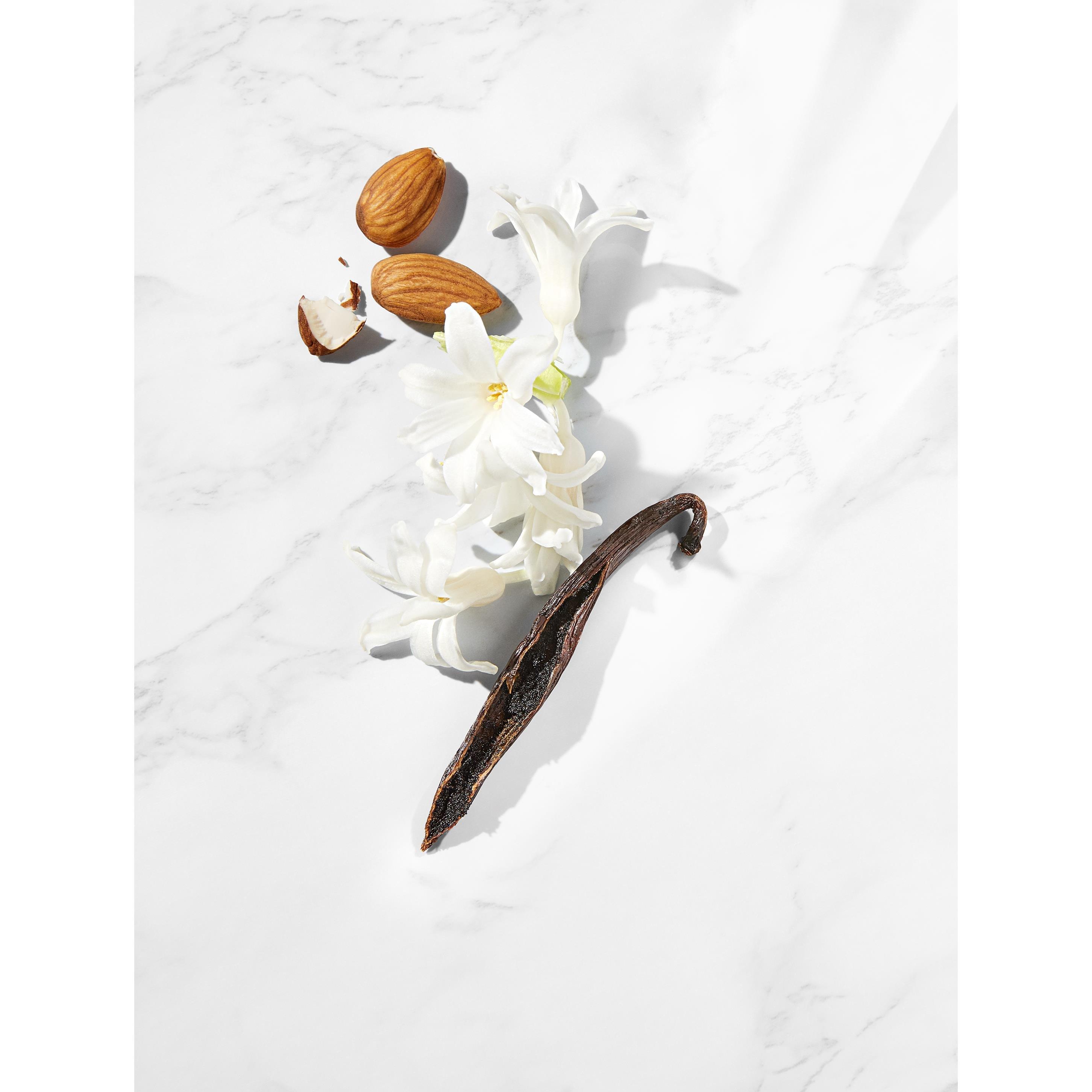 Almond Coconut - Laura Mercier - Almond Coconut Milk Souffle Body Creme - 3